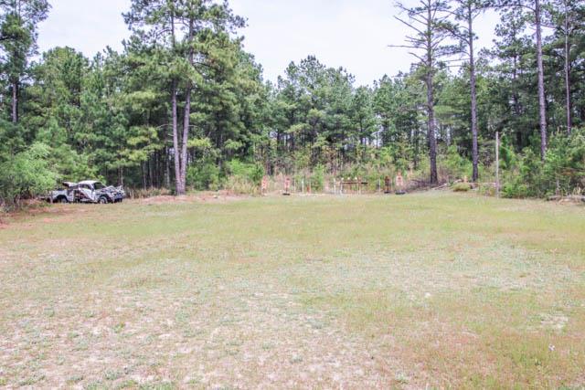 2749 Backbone Ridge Road Buena Vista, GA 31803 - Photo 2 of 37 Gallery Image 2