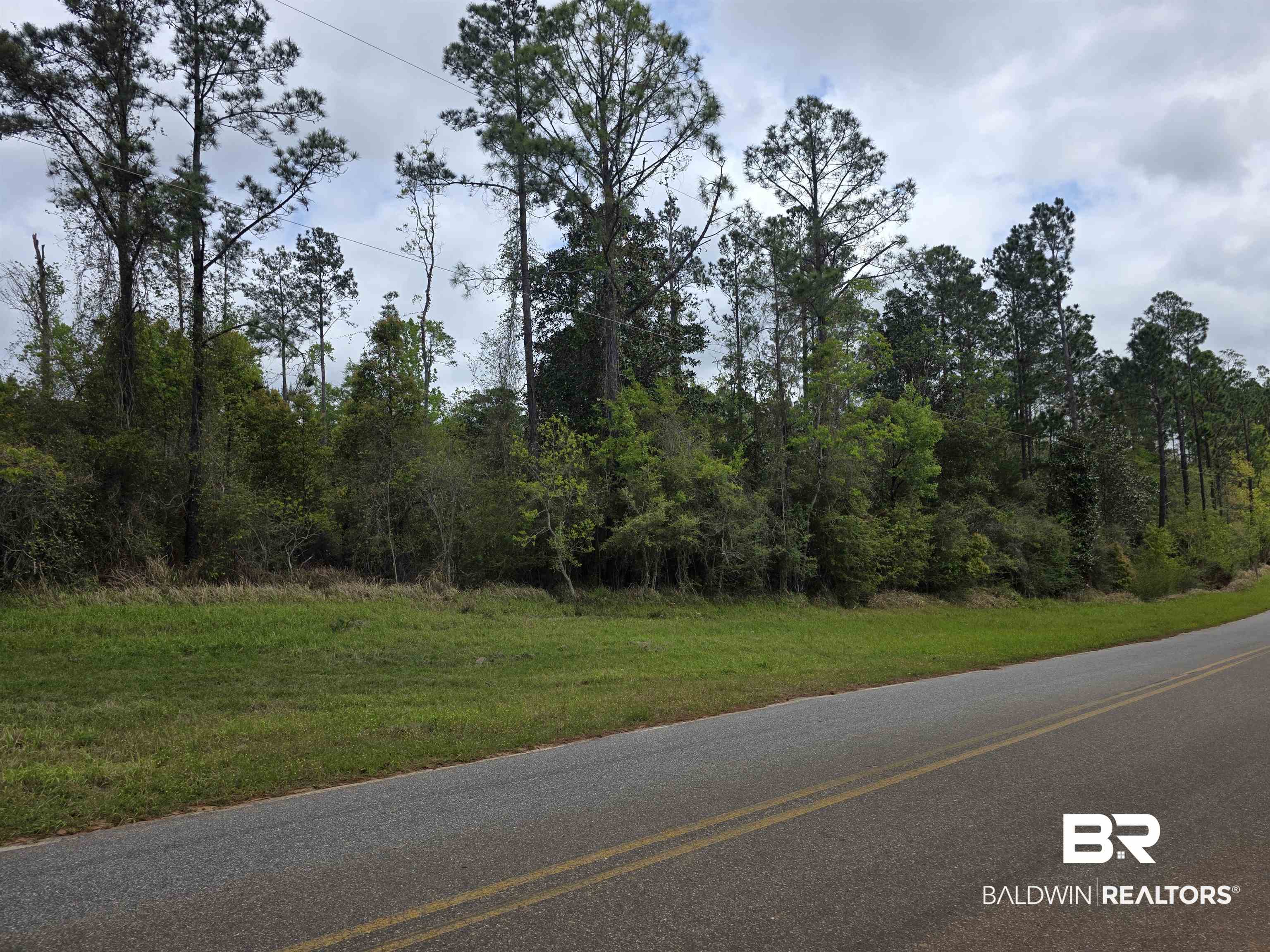 11631 Red Hill Rd Extension Bay Minette, AL 36507 - Photo 10 of 18 View of asphalt road