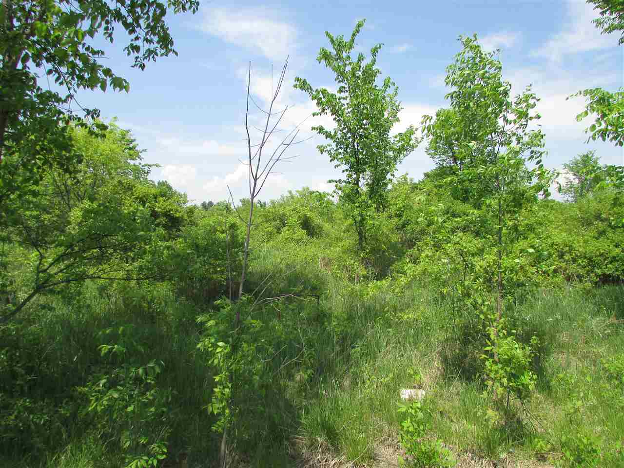 Tbd East Bristol Road Burton, MI 48519 - Photo 10 of 13 1847435-9.JPG