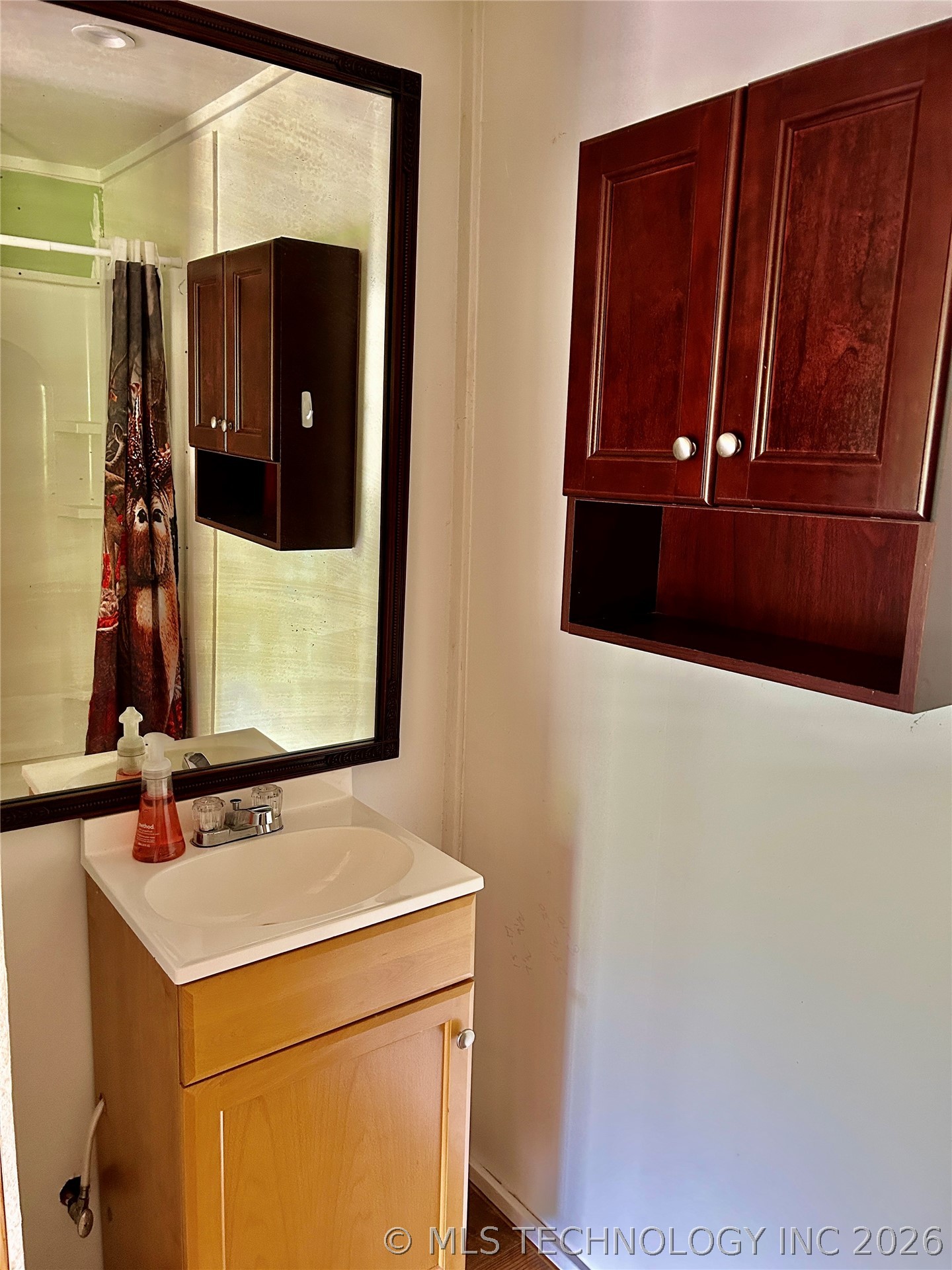 463501 East 820 Road Stilwell, OK 74960 - Photo 19 of 50 Vanity