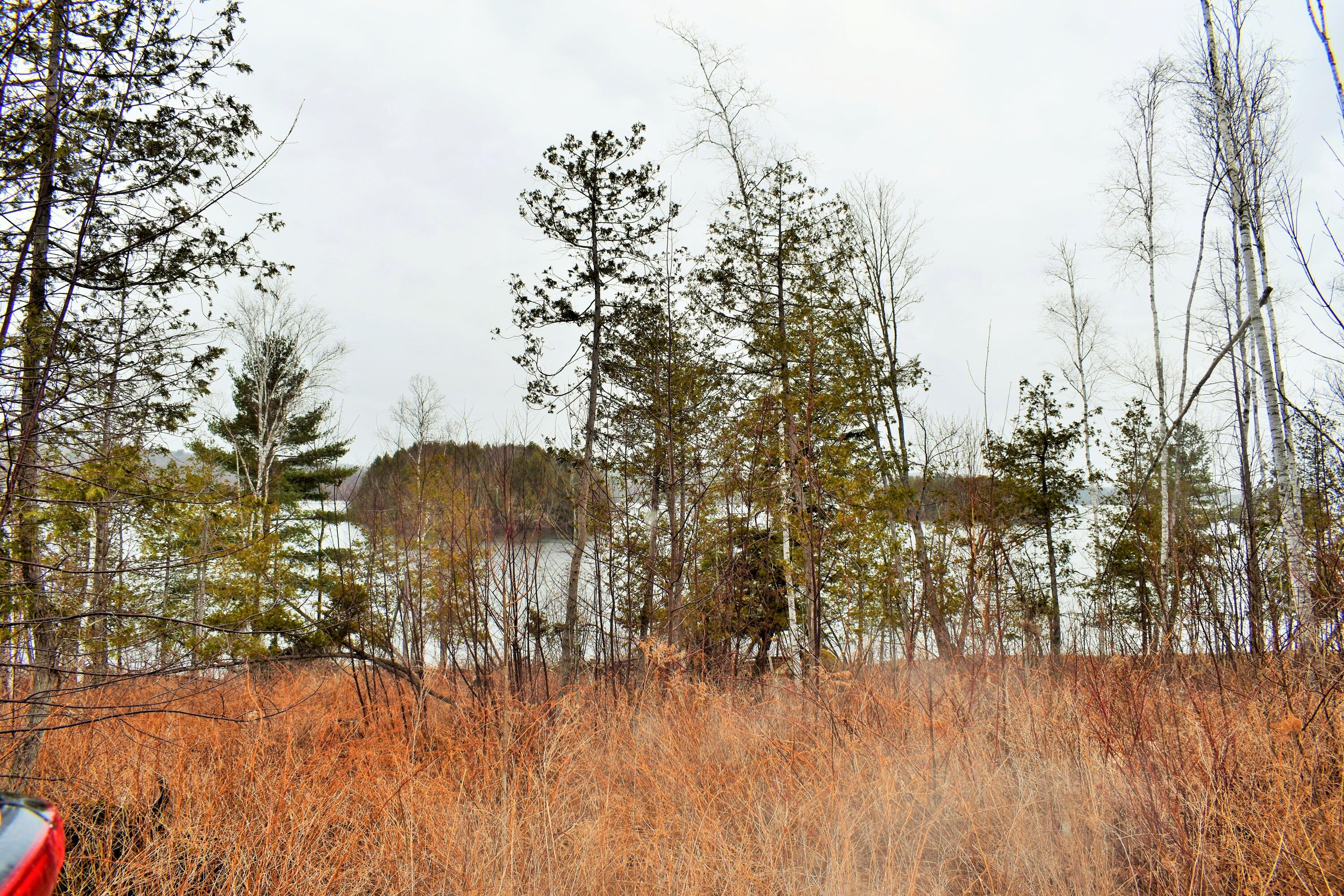 90 Cotta Lane St. Albans, ME 04971 - Photo 5 of 24 DSC_0419