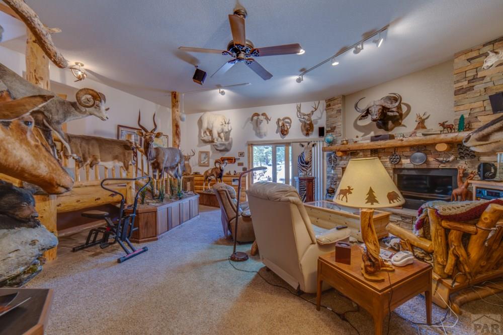 8675 State Highway Rye, CO 81069 - Photo 52 of 75