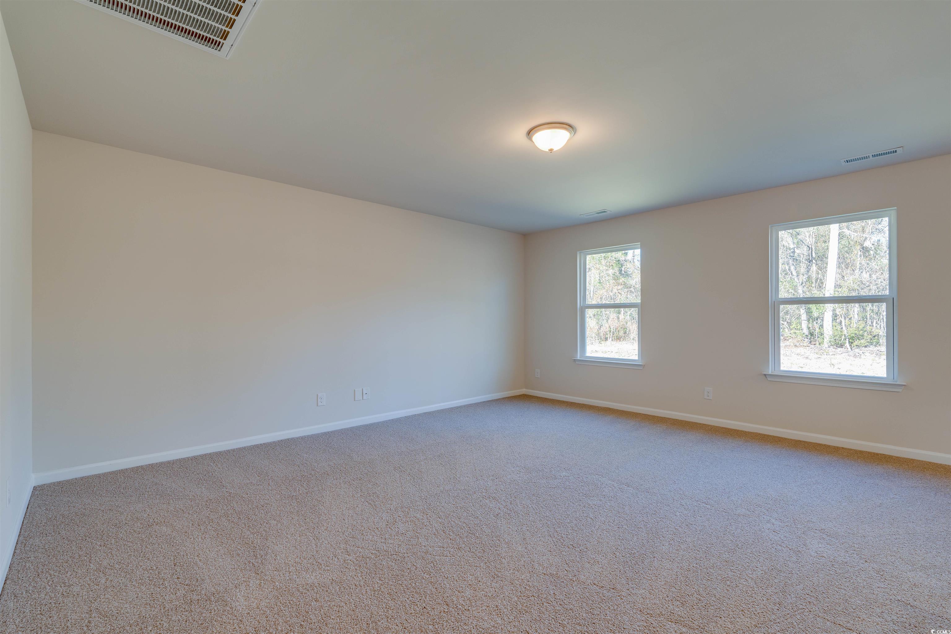791 Brown Swamp Road Conway, SC 29527 - Photo 4 of 30 Gallery Image 4