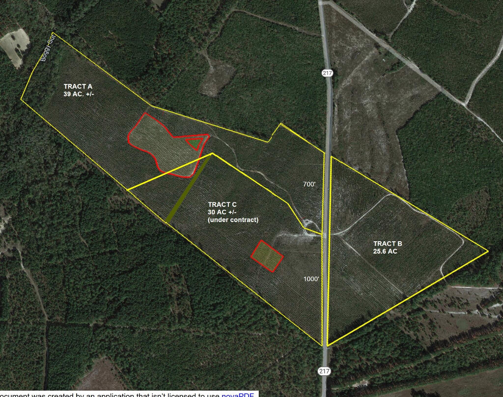 Tract A Jaywood Road Williston, SC 29853 - Photo 5 of 5