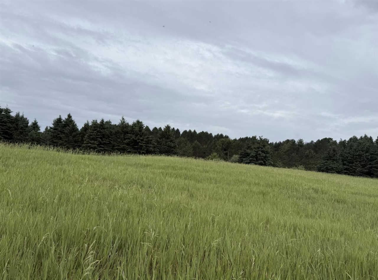 Eight Mile Road Kaleva, MI 49645 - Photo 11 of 14