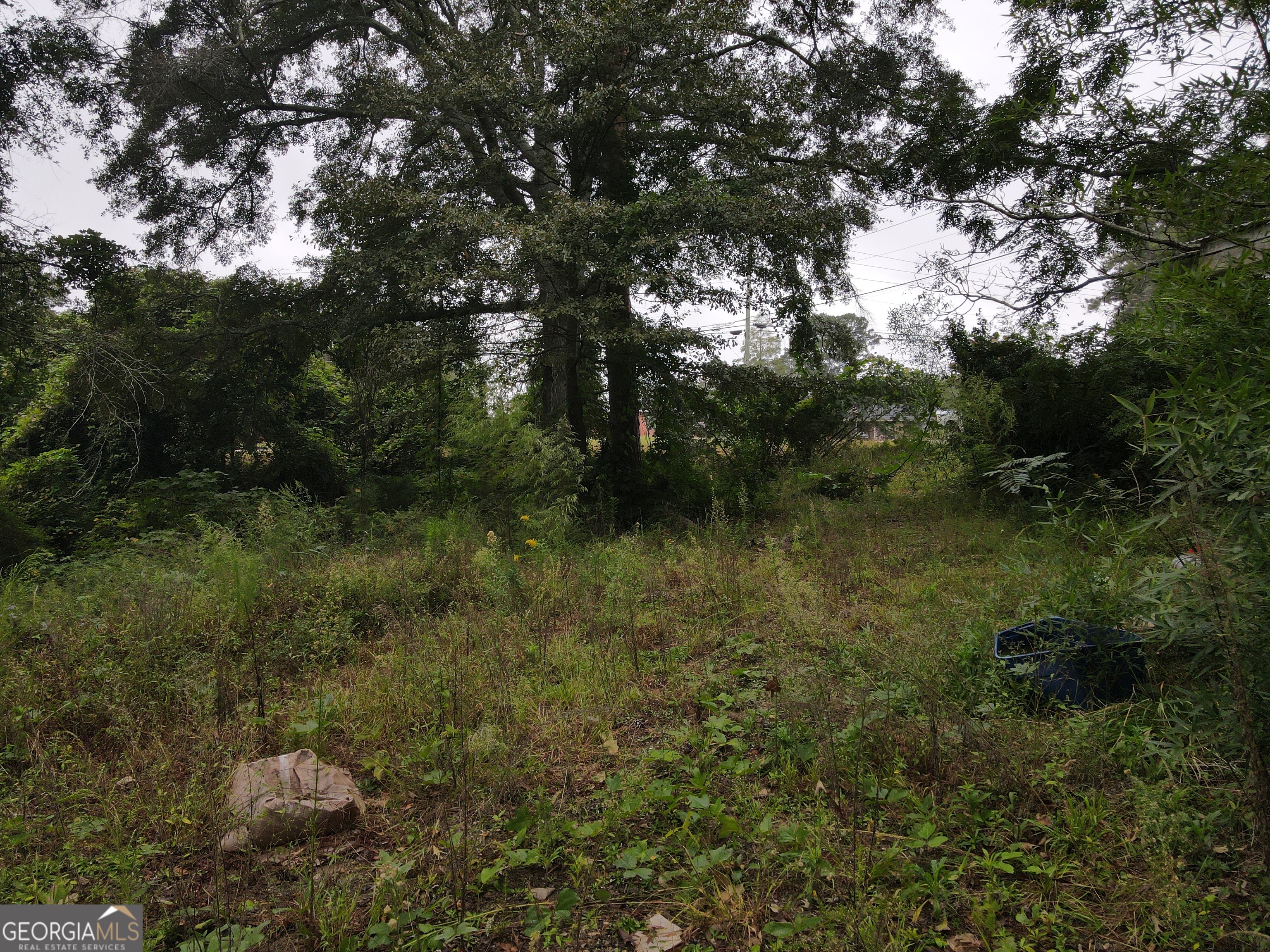 2222 Barnesville Street Thomaston, GA 30286 - Photo 3 of 5 a view of a lush green forest with lots of trees