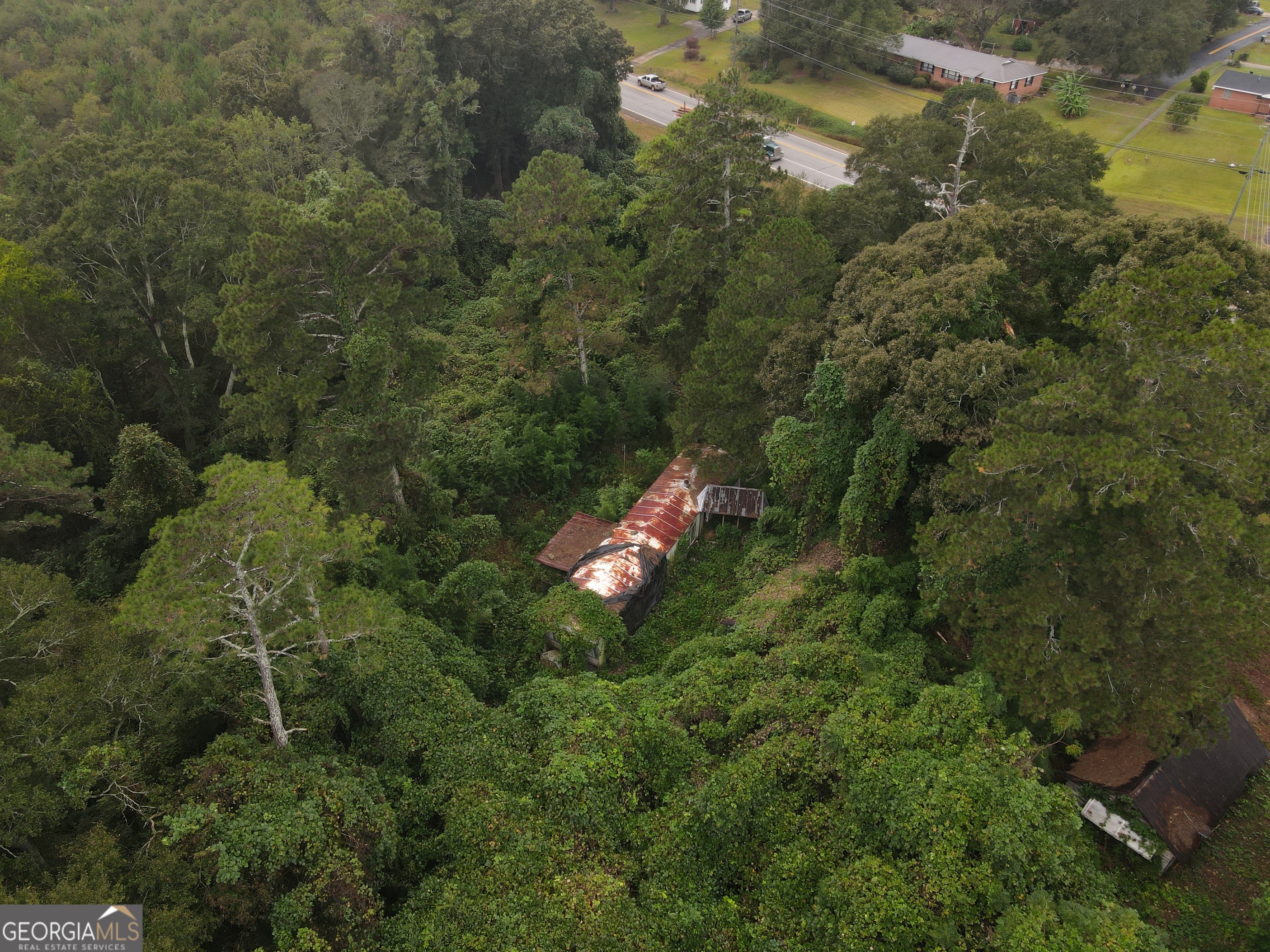 2222 Barnesville Street Thomaston, GA 30286 - Photo 4 of 5 a view of a forest