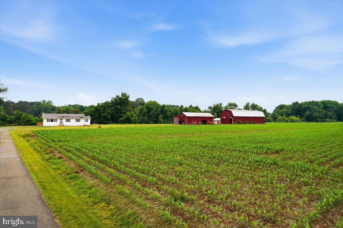 38125 Louis Thomas Road Avenue, MD 20609 - Photo 6 of 73 VIEW OF THE PROPERTY. LAND IS BEING FARMED