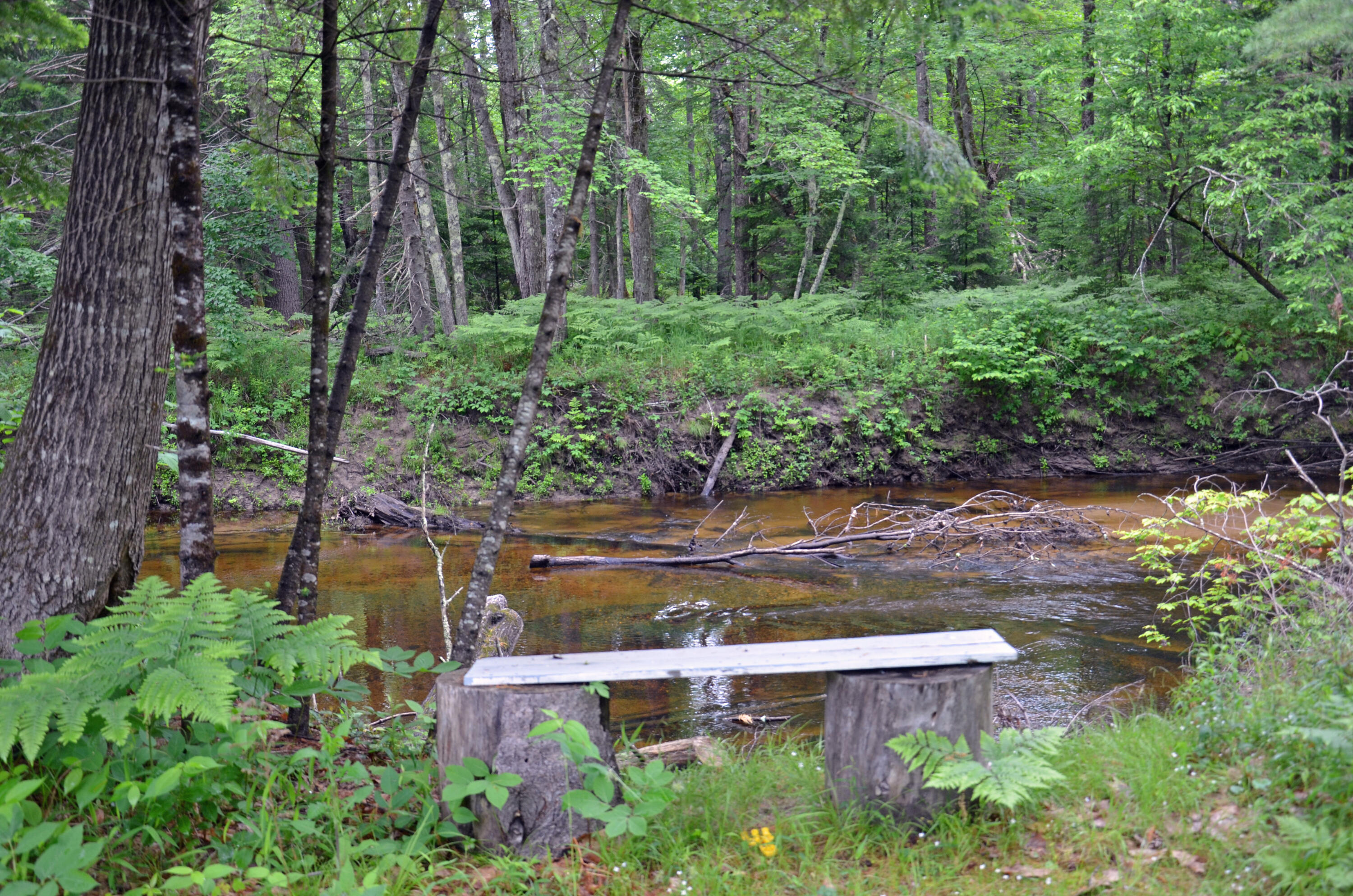 1194 Norway Road Waterford, ME 04088 - Photo 4 of 35 2021-06-03 19.22.08
