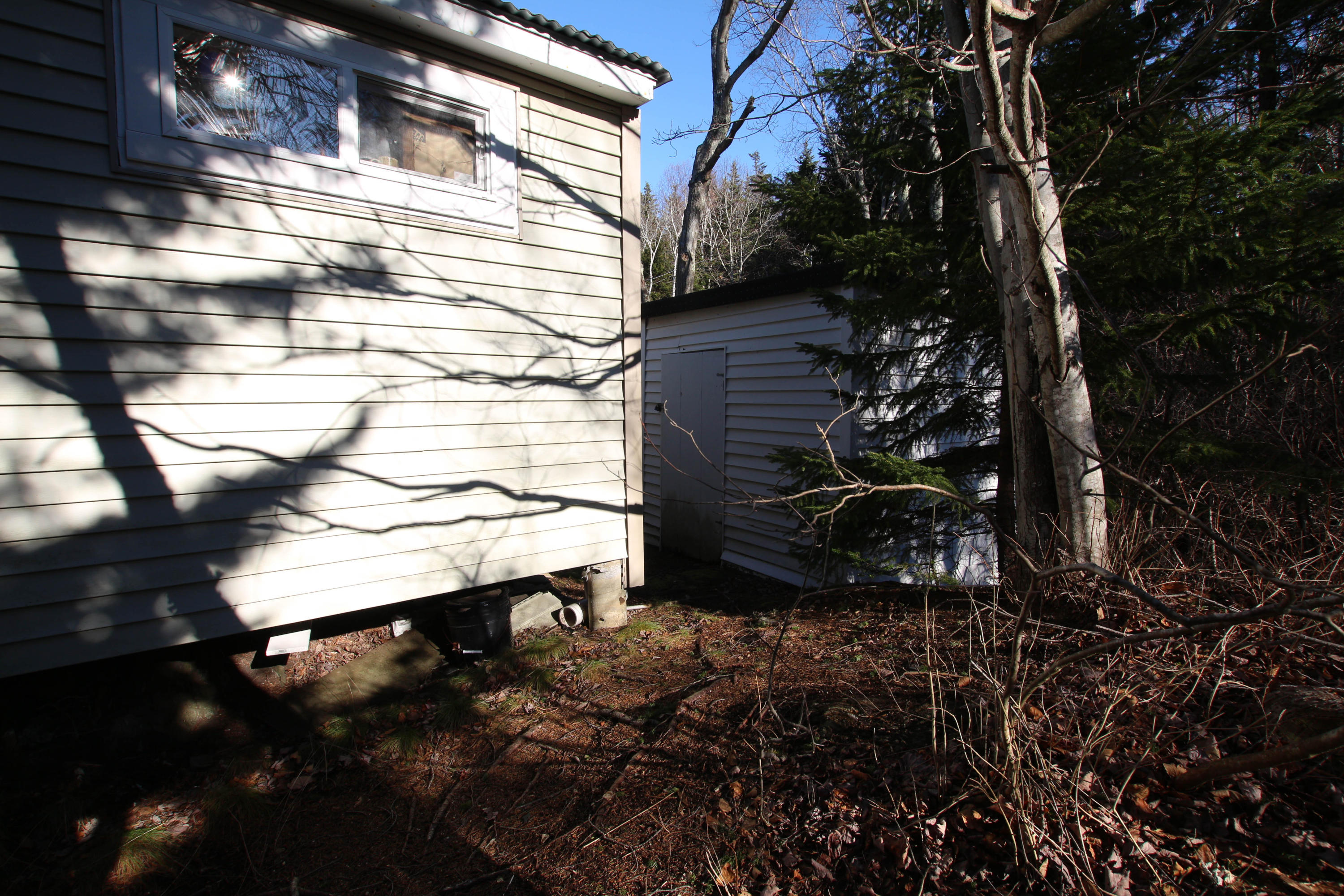 64 Branch Road Phippsburg, ME 04562 - Photo 16 of 34 IMG_7986