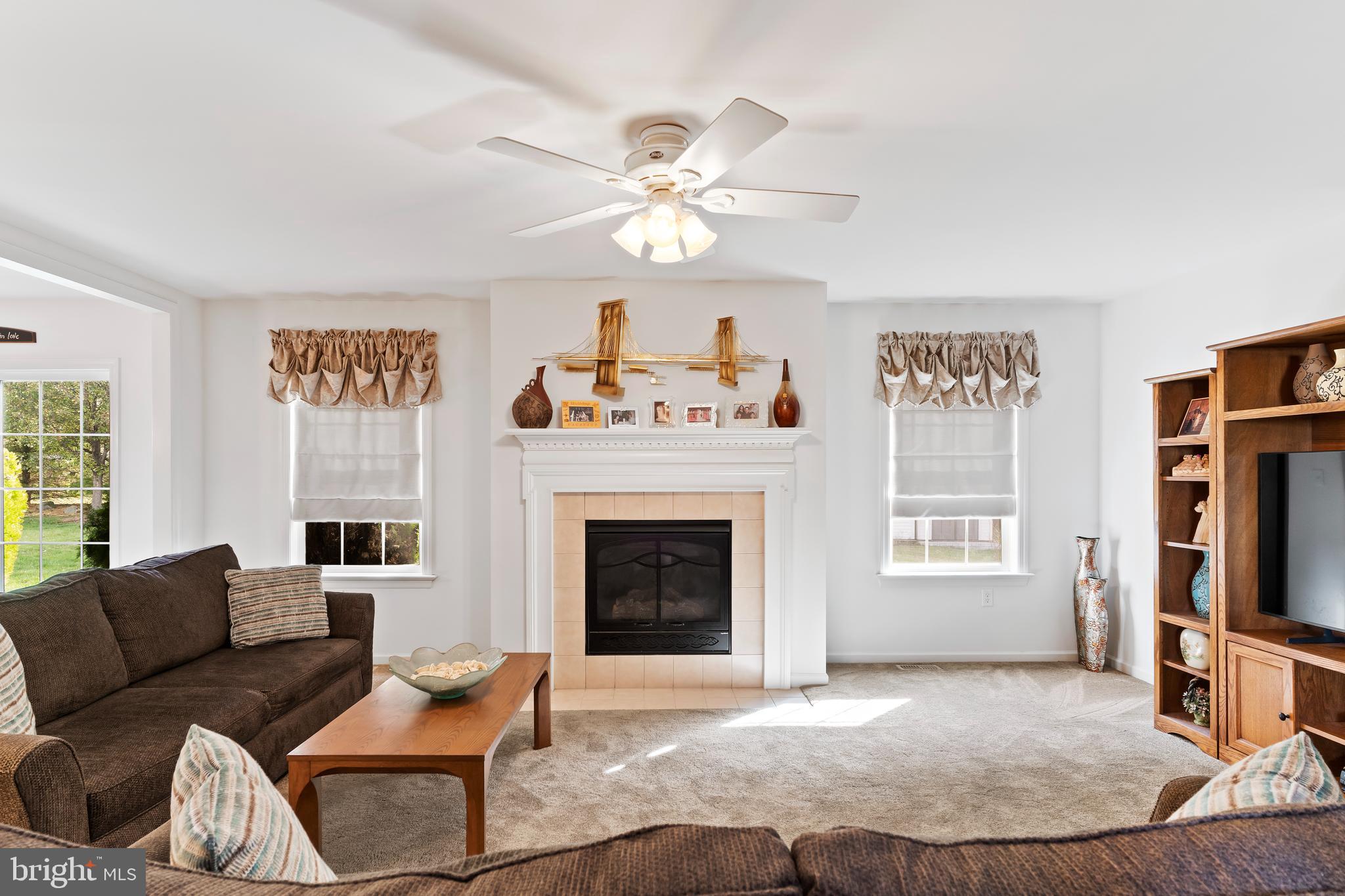 657 Hamaker Road Manheim, PA 17545 - Photo 10 of 41 a living room with furniture a fireplace and a flat screen tv