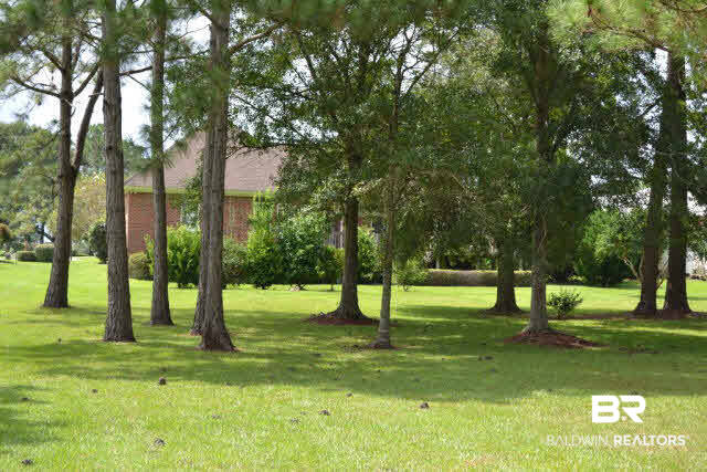 9254 Lakeview Drive Foley, AL 36535 - Photo 34 of 38 Rear View