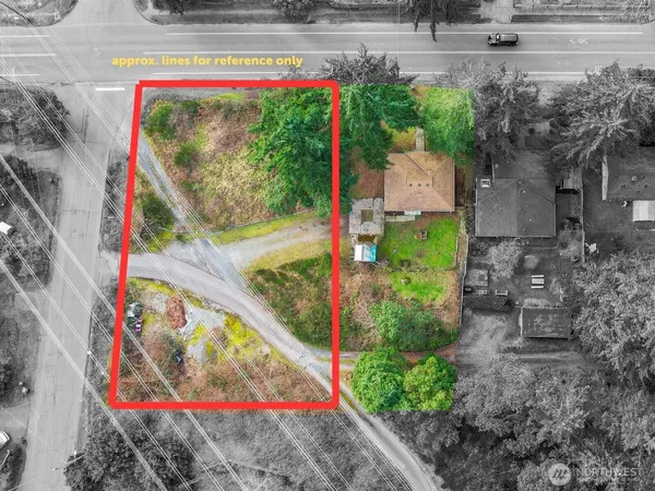 a view of park with large trees