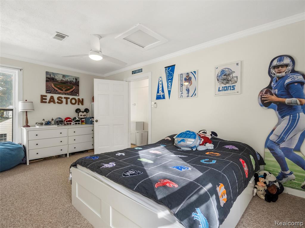 319 Chandler Street Romeo, MI 48065 - Photo 32 of 61 Gallery Image 32
