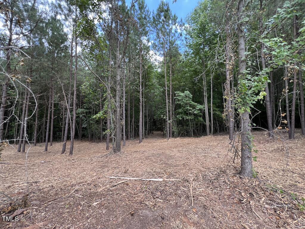 8 Peachtree Hills Road Spring Hope, NC 27882 - Photo 27 of 29 27