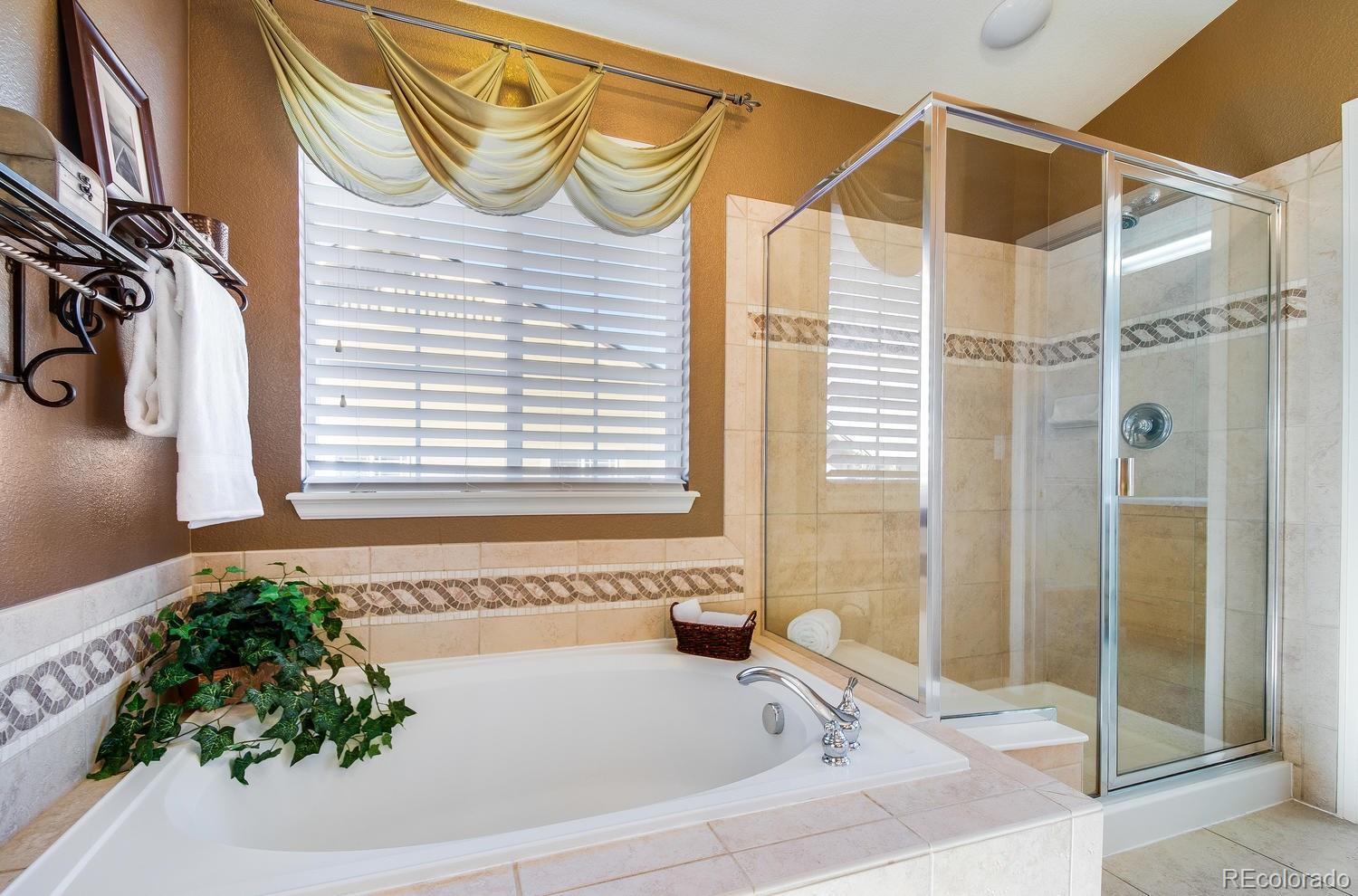 10607 Redcone Way Highlands Ranch, CO 80130 - Photo 19 of 35 Gallery Image 19