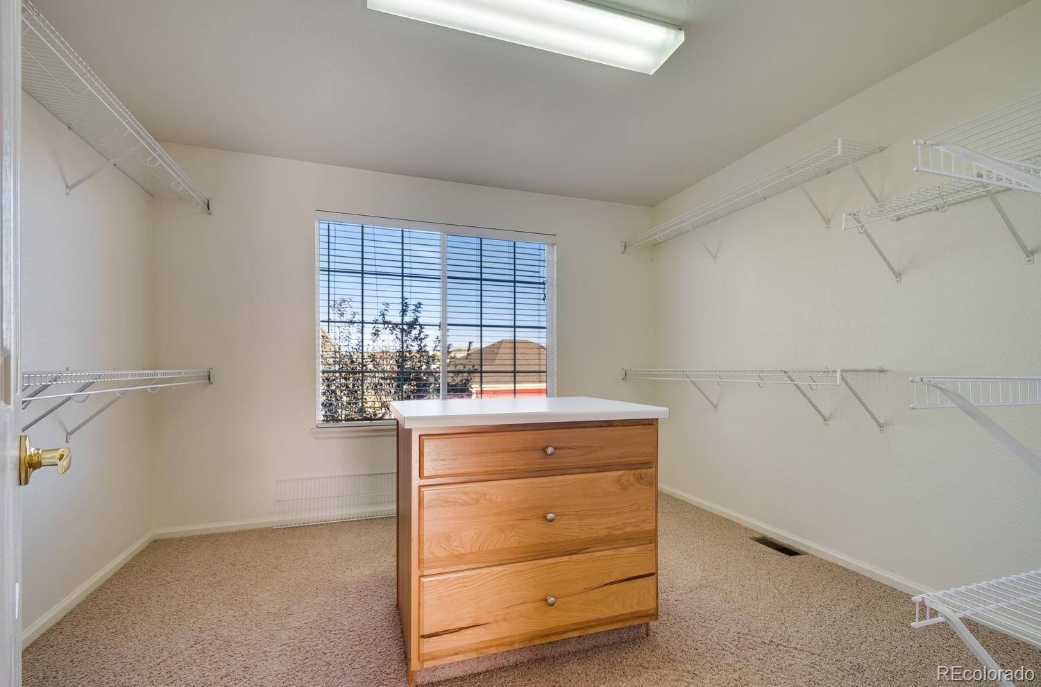 10607 Redcone Way Highlands Ranch, CO 80130 - Photo 20 of 35 Gallery Image 20
