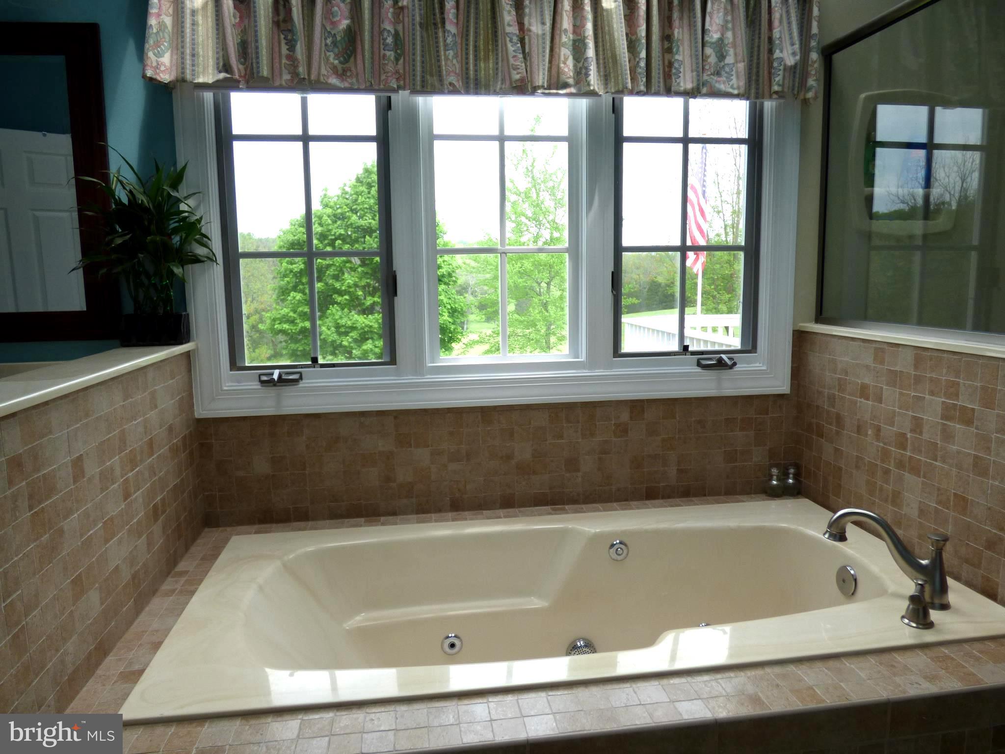 3330 Oranda Road Strasburg, VA 22657 - Photo 24 of 43 Jetted Tub in master bath