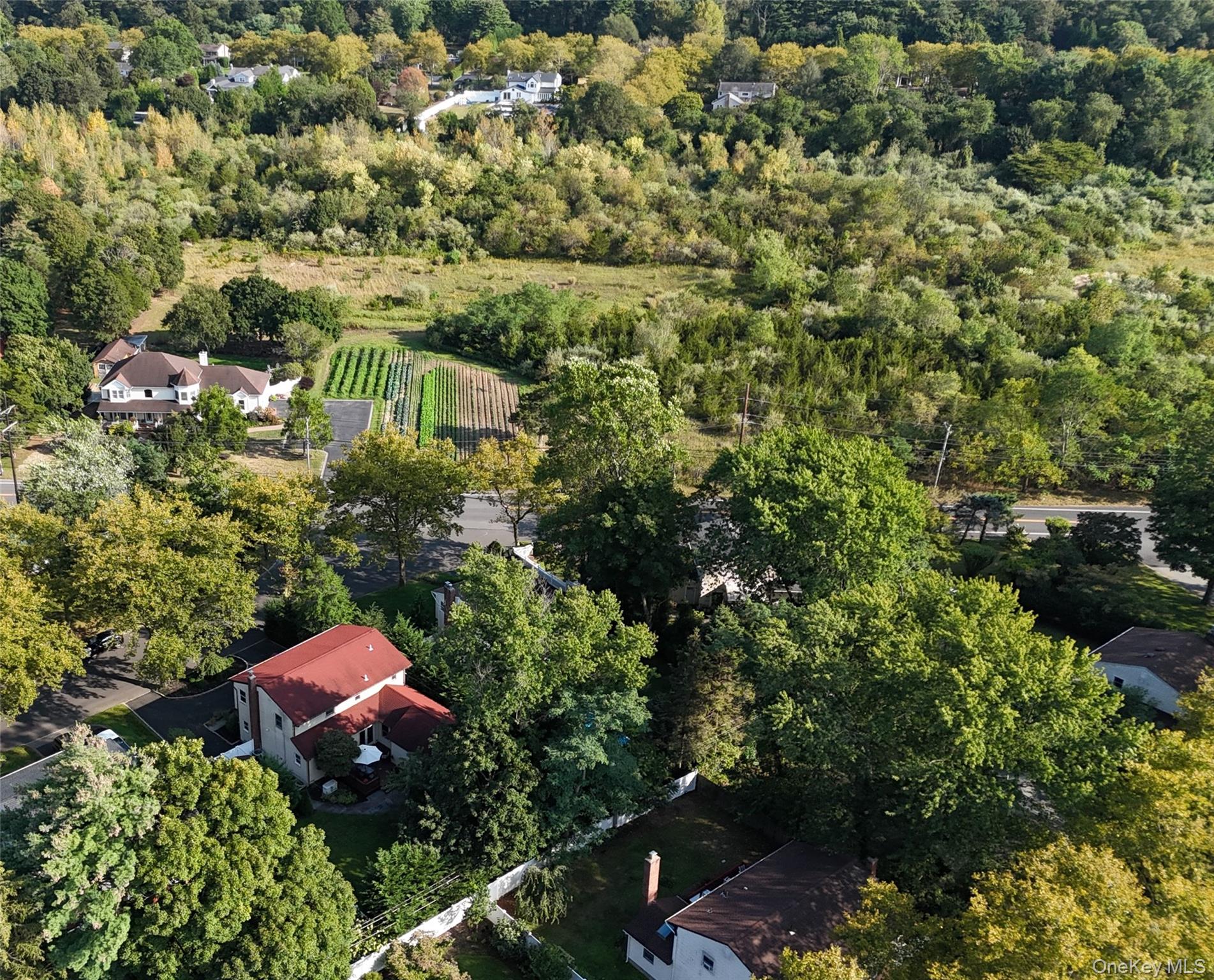 3 Earl Road Melville, NY 11747 - Photo 30 of 35