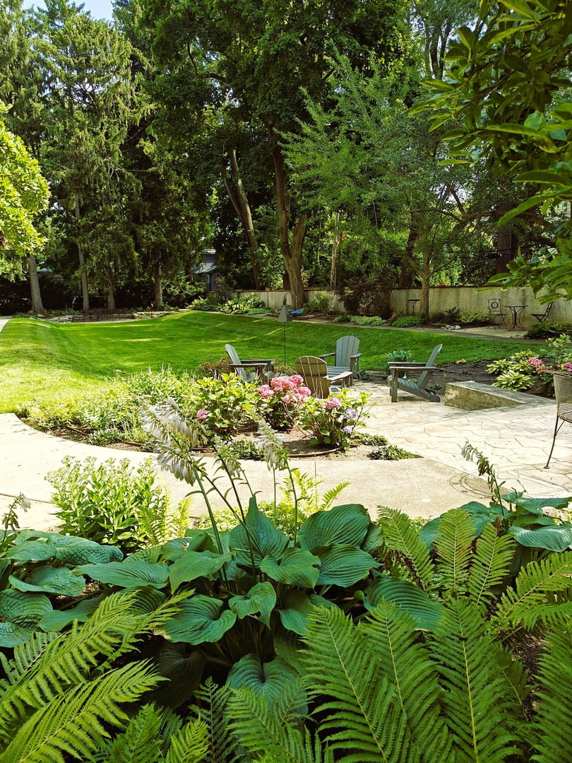 734 Noyes Street, Unit O2 Evanston, IL 60201 - Photo 3 of 6