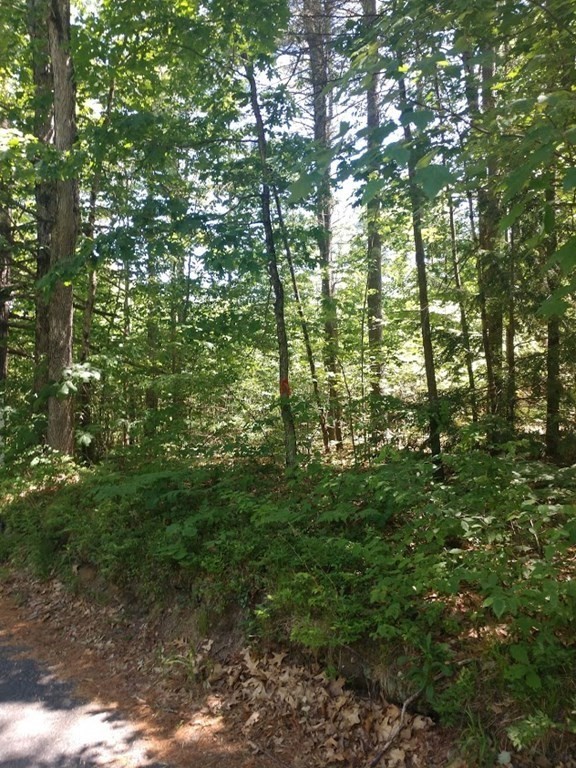 Lot 1 Merrifield Road Bernardston, MA 01337 - Photo 2 of 6 Gallery Image 2