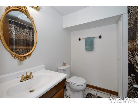 387 Old Newfound Road Leicester, NC 28748 - Photo 13 of 19 Gallery Image 13