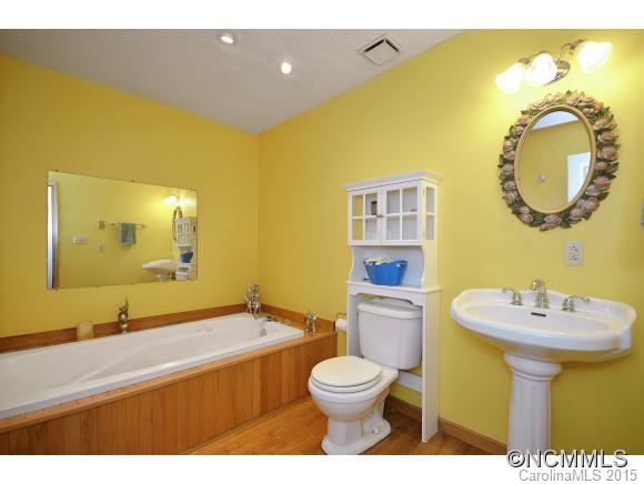 387 Old Newfound Road Leicester, NC 28748 - Photo 9 of 19 Gallery Image 9