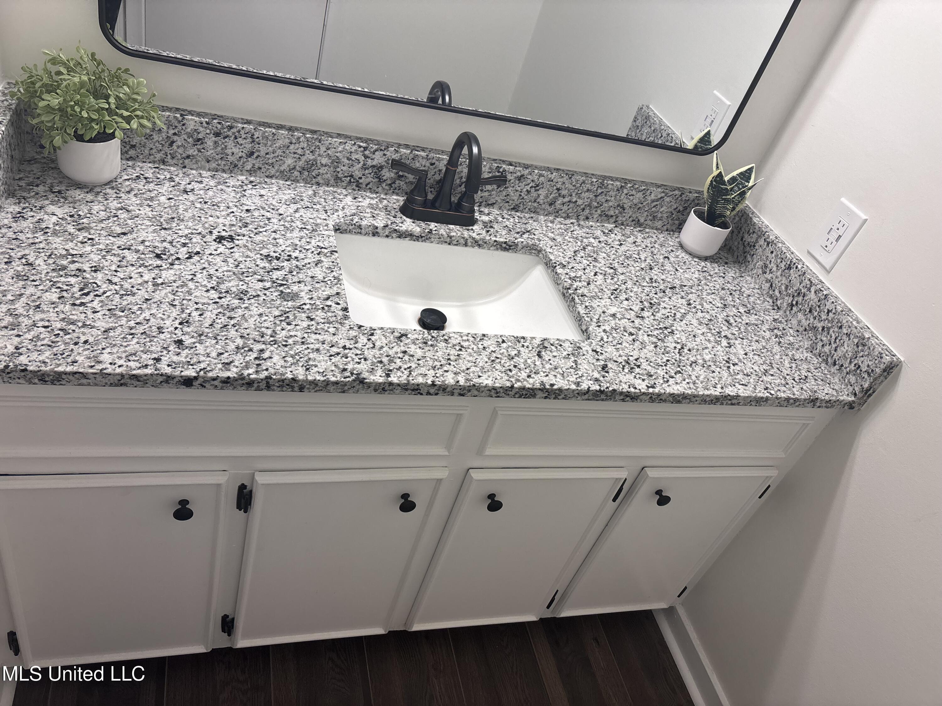 2607 Jennifer Drive Pearl, MS 39208 - Photo 18 of 29 Master Bath - New Sink, Faucet & Top!