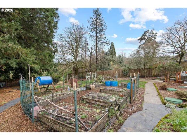 a view of a backyard with large trees and wooden fence