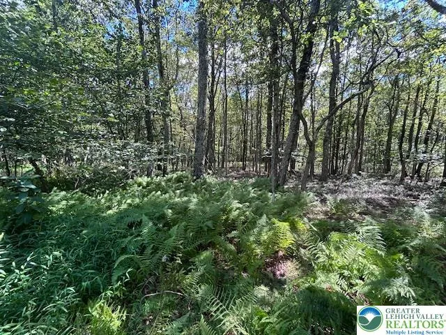 a view of outdoor space and trees all around
