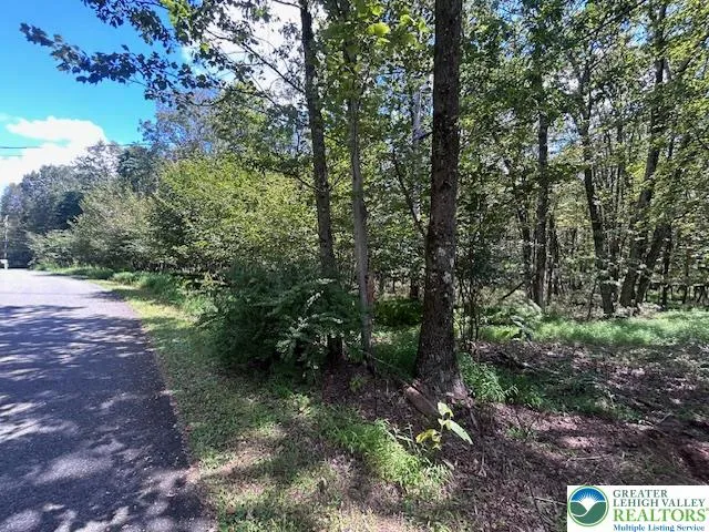 a view of outdoor space and trees all around