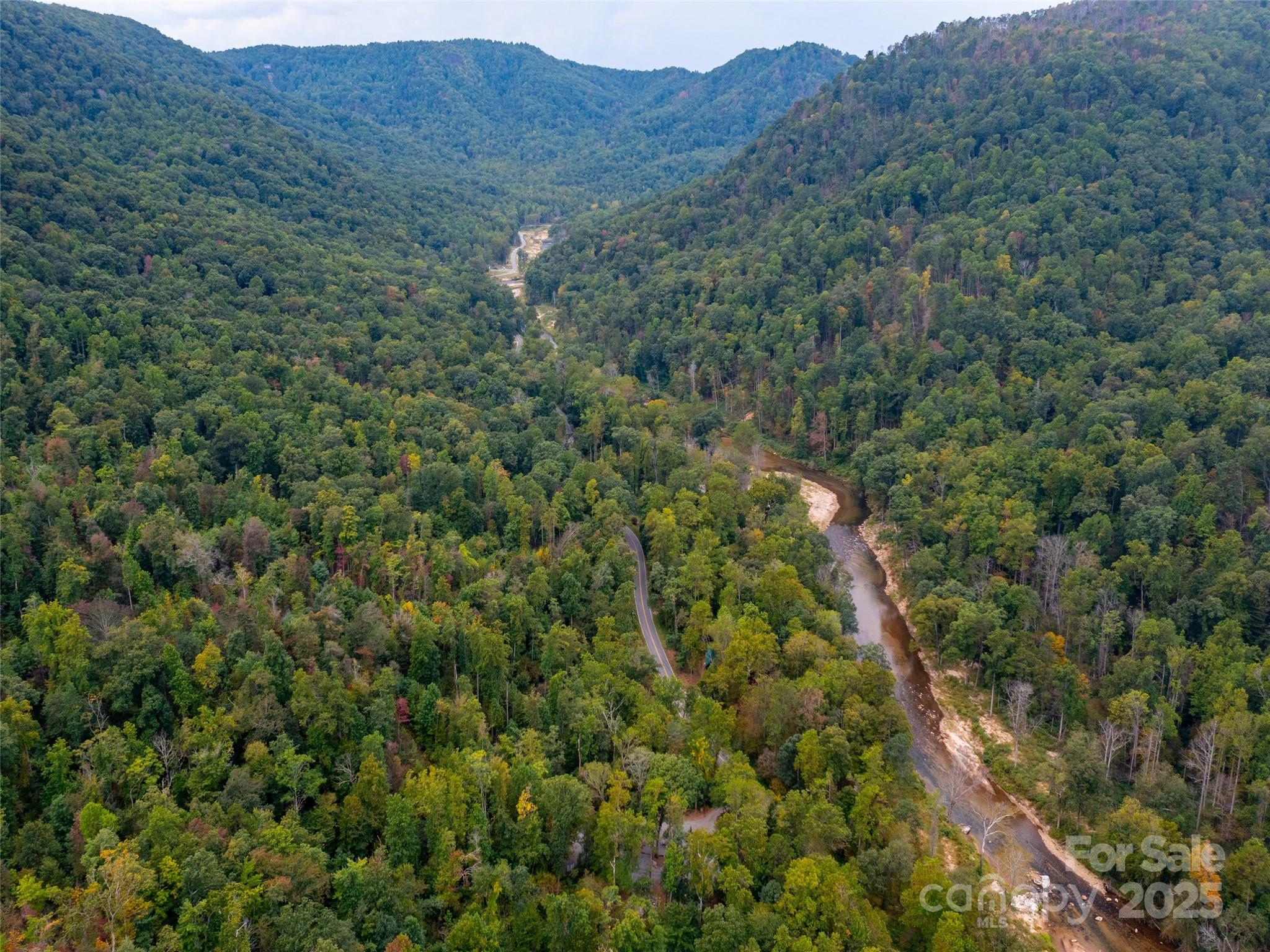 0 Riversound Drive Saluda, NC 28773 - Photo 4 of 7