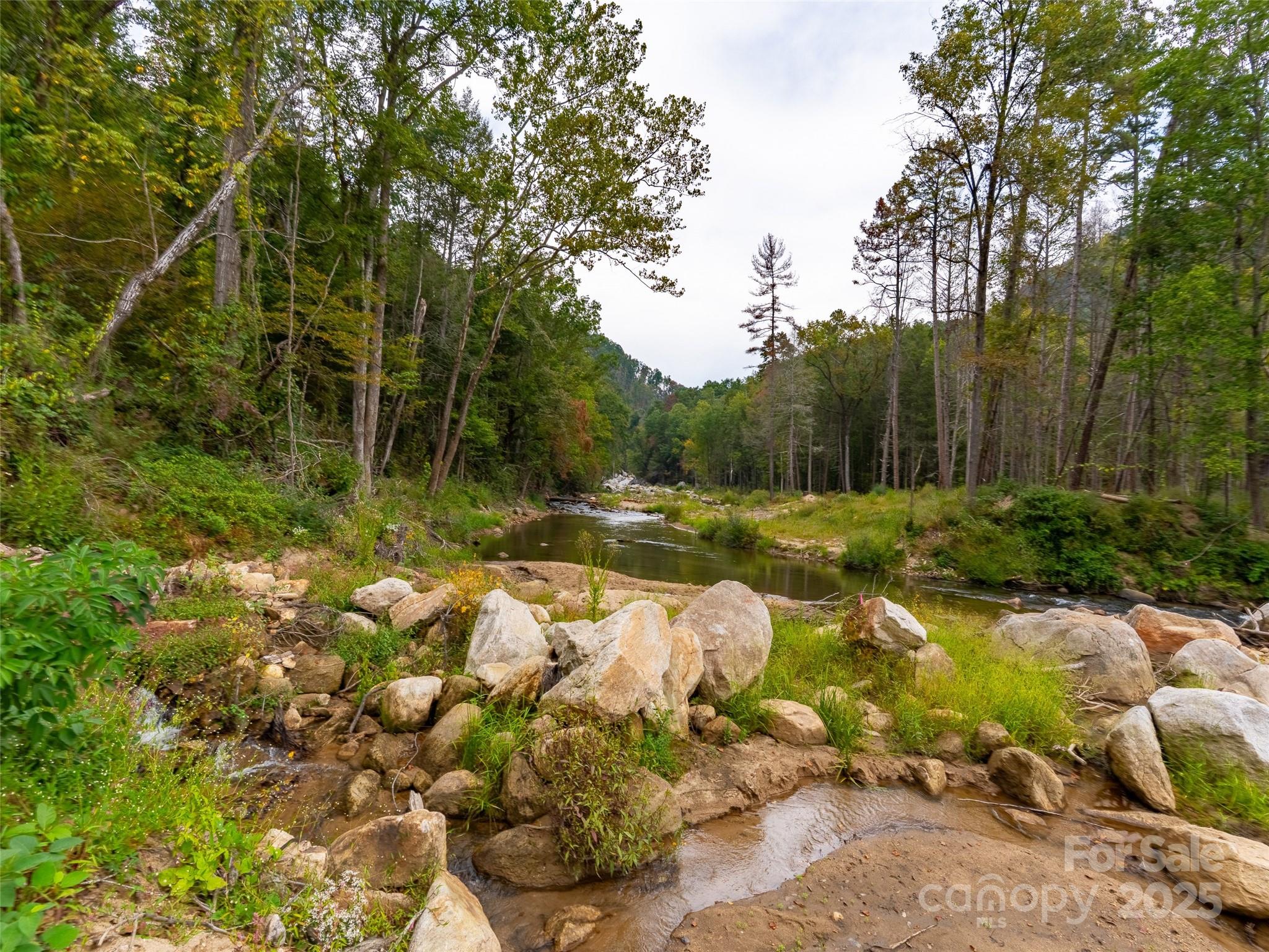 0 Riversound Drive Saluda, NC 28773 - Photo 7 of 7