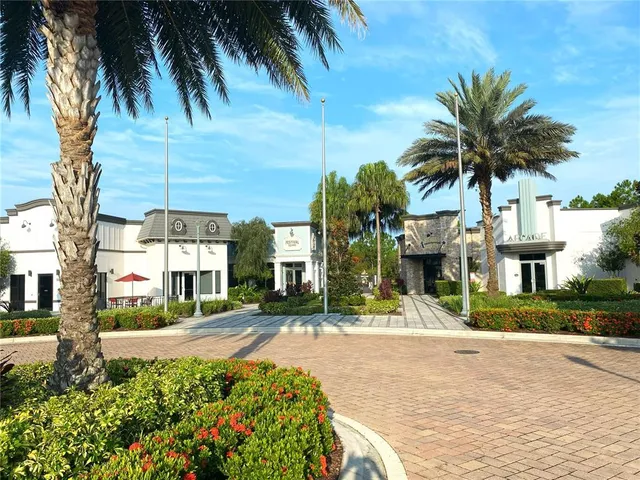 a view of road with palm trees