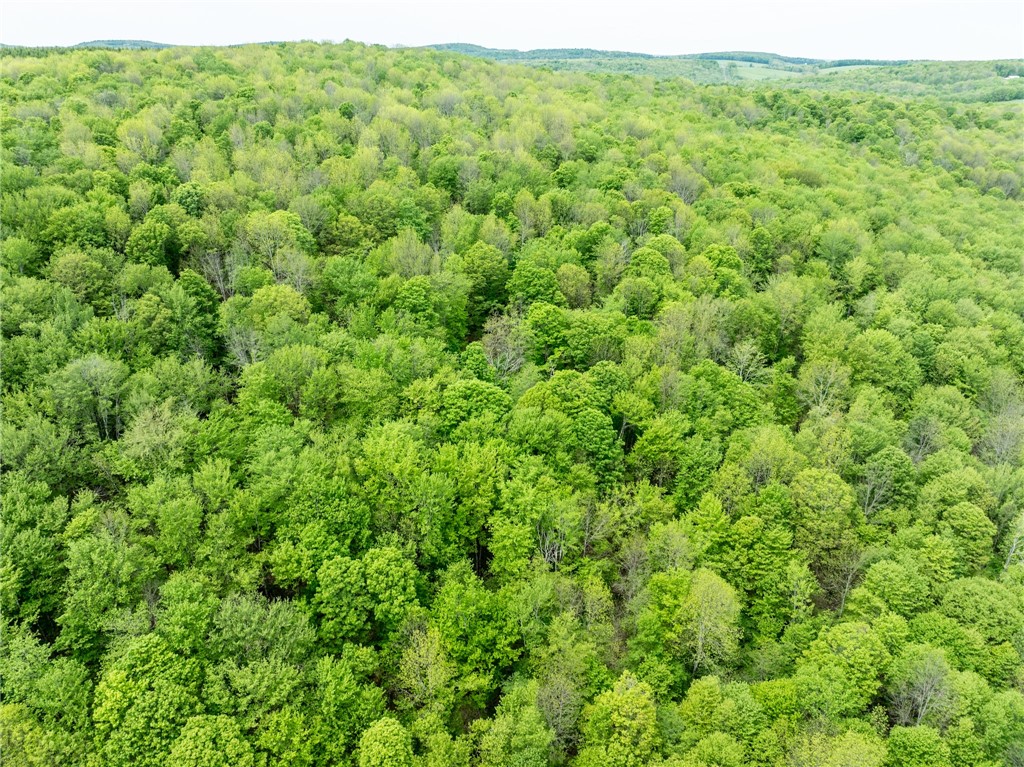 24 County Road New Berlin, NY 13411 - Photo 9 of 19
