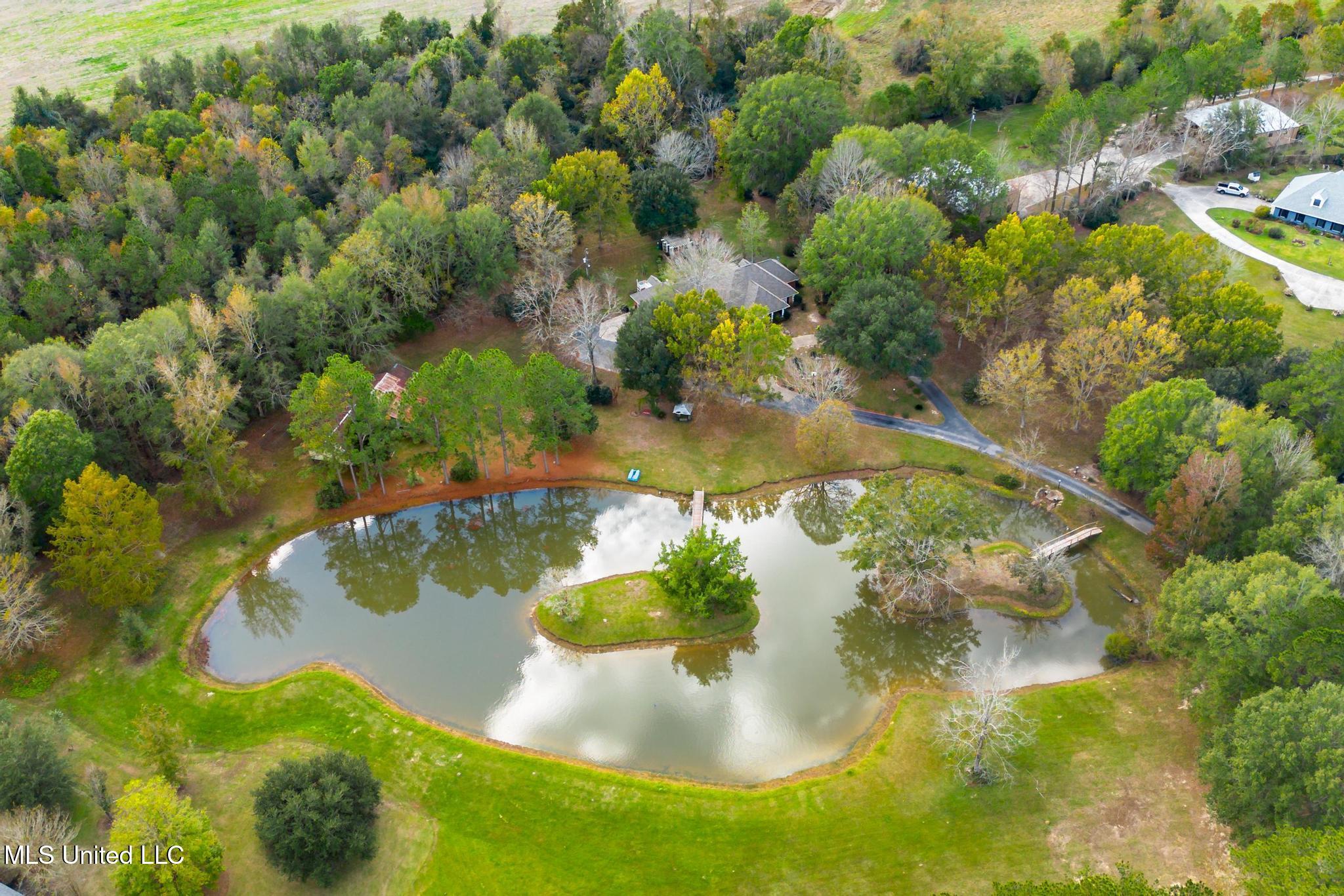 4519 Highway 589 Sumrall, MS 39482 - Photo 3 of 46 4519 MS 589-38