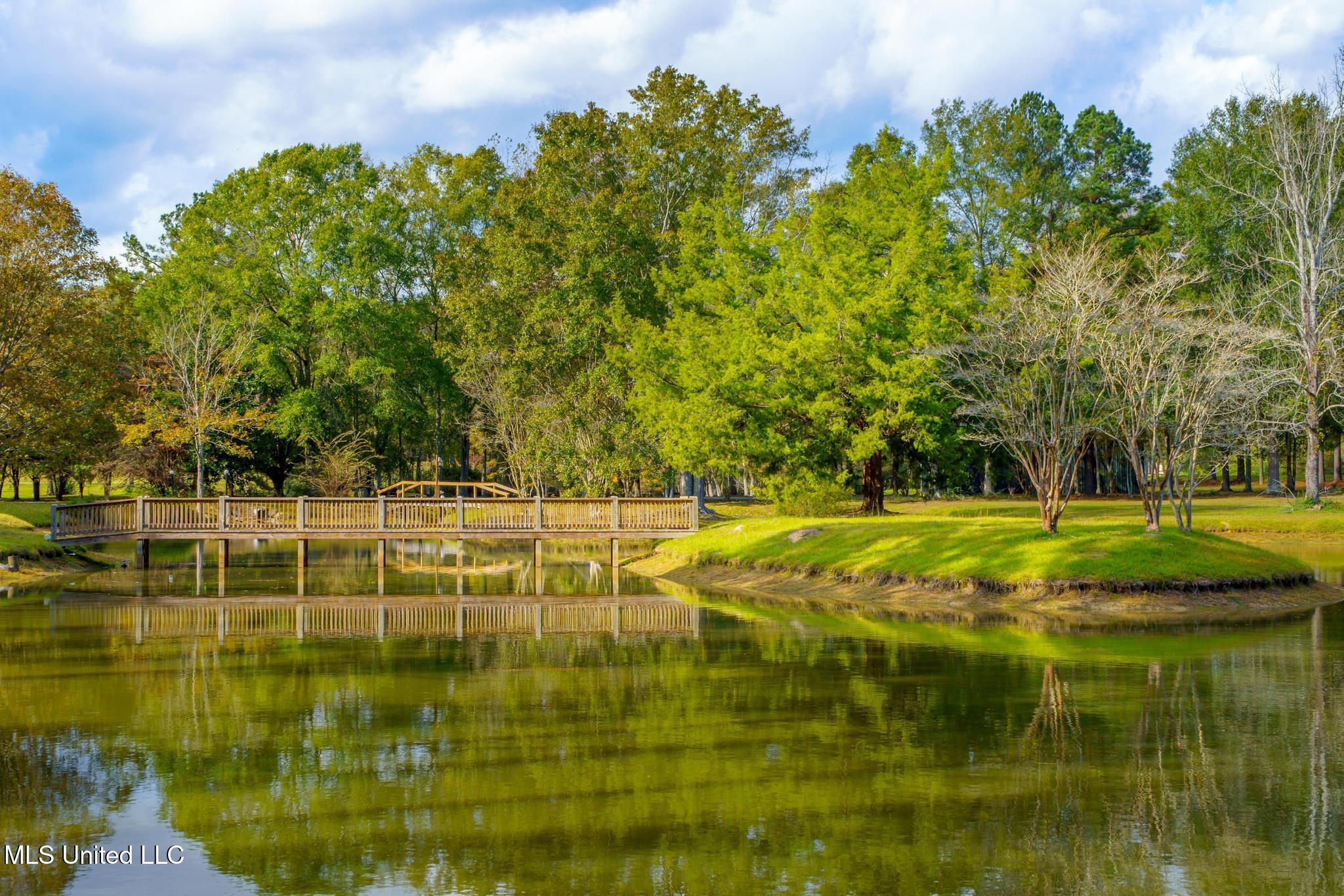 4519 Highway 589 Sumrall, MS 39482 - Photo 39 of 46 4519 MS 589-33