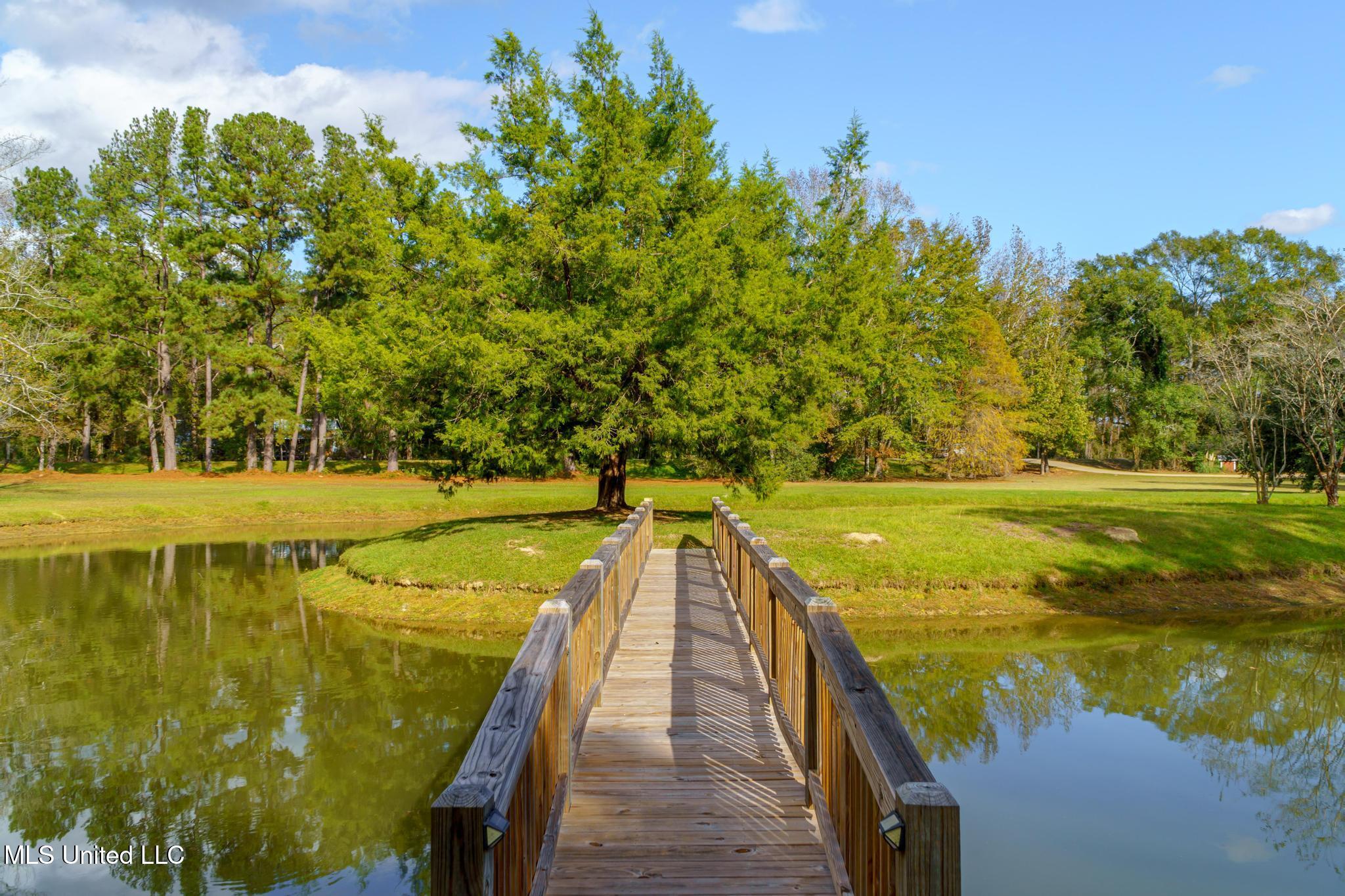 4519 Highway 589 Sumrall, MS 39482 - Photo 40 of 46 4519 MS 589-34