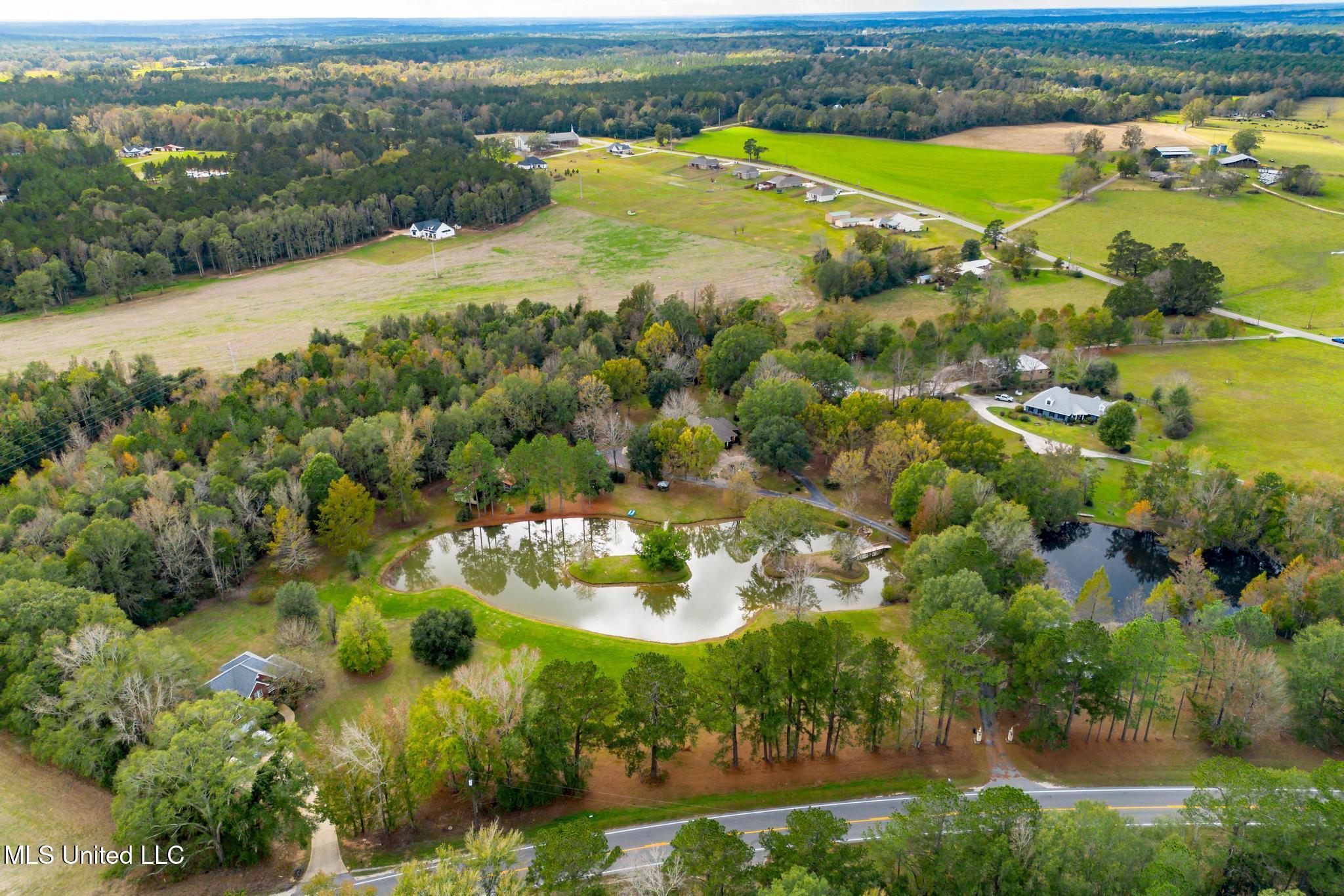 4519 Highway 589 Sumrall, MS 39482 - Photo 44 of 46 4519 MS 589-39