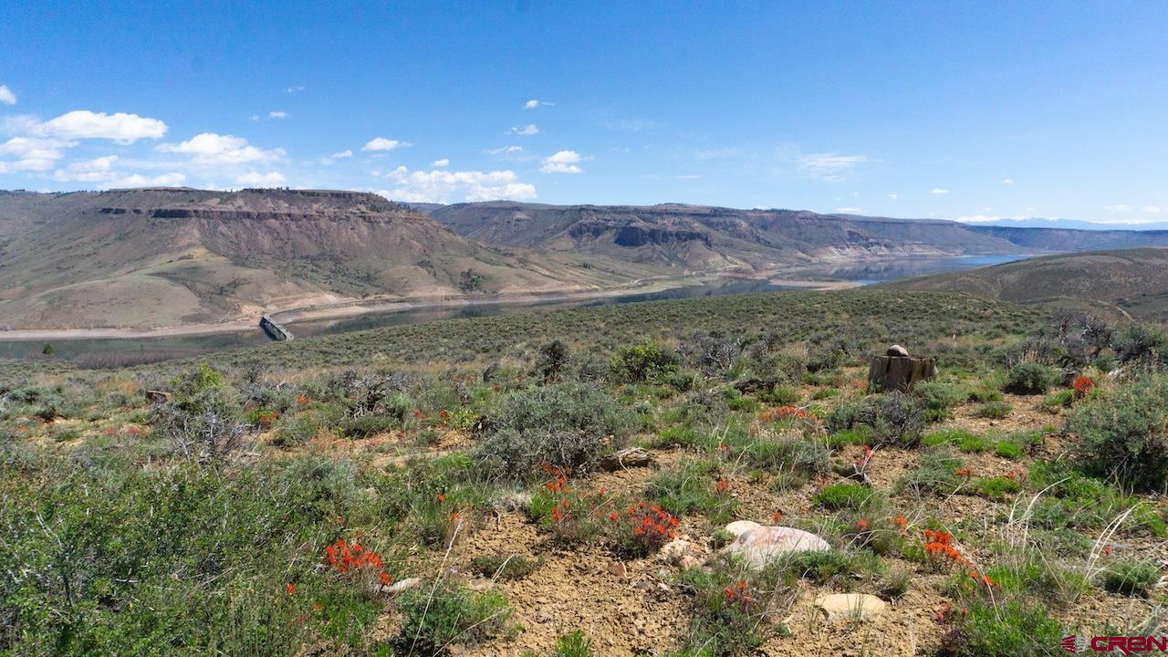 14111 County Road 26 Gunnison, CO 81230 - Photo 11 of 35 a view of a dry yard with mountains in the background