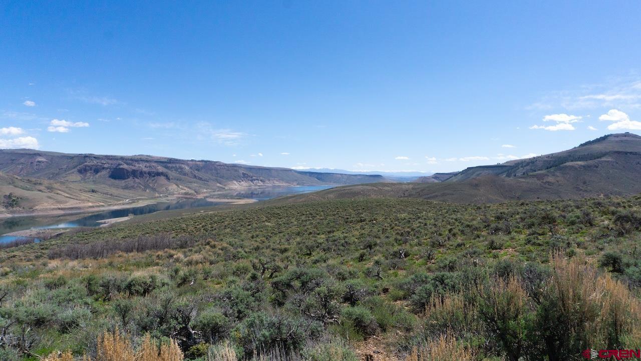 14111 County Road 26 Gunnison, CO 81230 - Photo 12 of 35 a view of a forest with mountains in the background