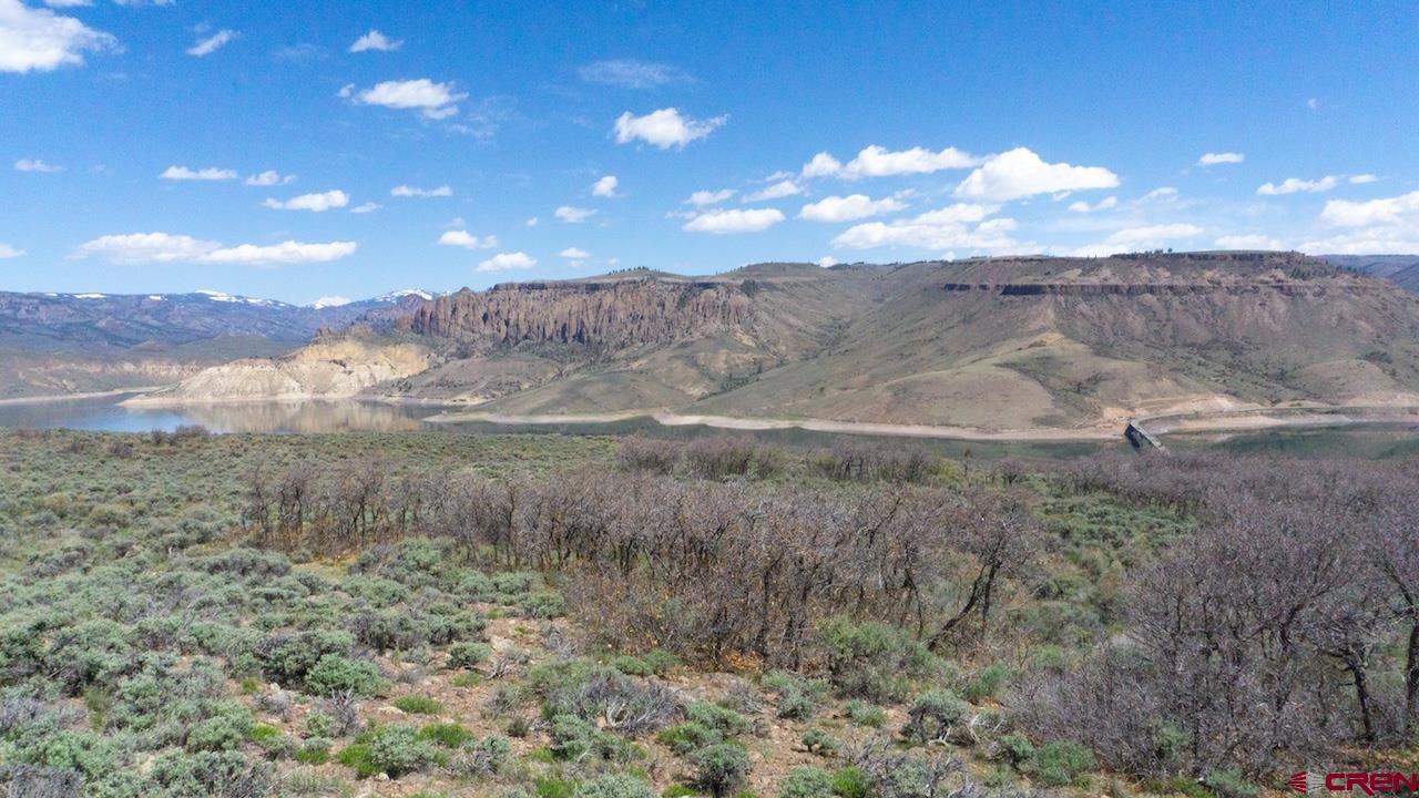 14111 County Road 26 Gunnison, CO 81230 - Photo 13 of 35 a view of a dry yard with lots of green space