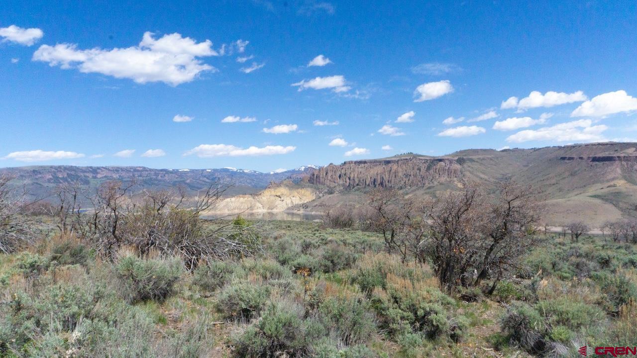 14111 County Road 26 Gunnison, CO 81230 - Photo 14 of 35 a view of a city with lots of bushes