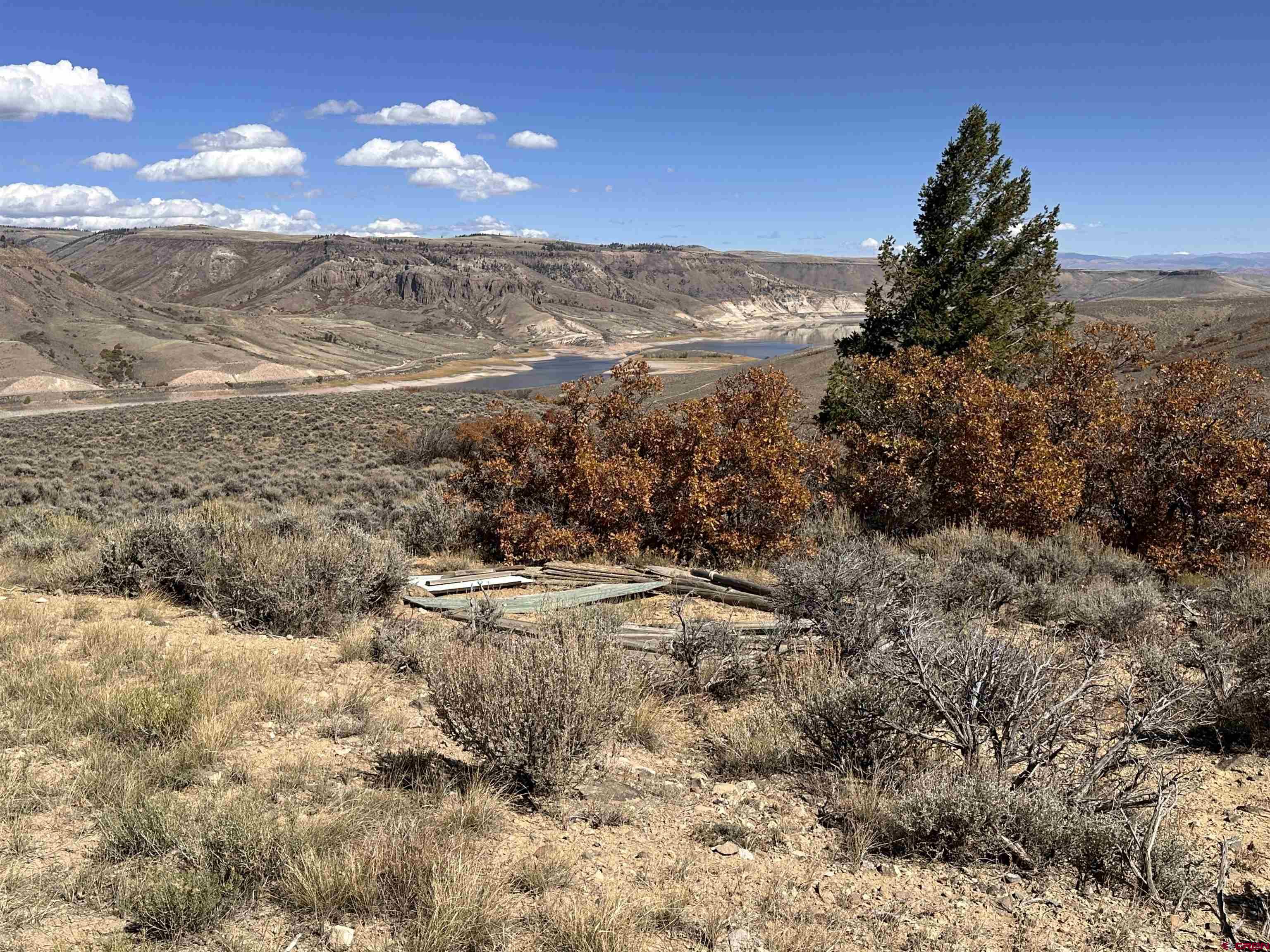 14111 County Road 26 Gunnison, CO 81230 - Photo 2 of 35 a view of a yard with a mountain