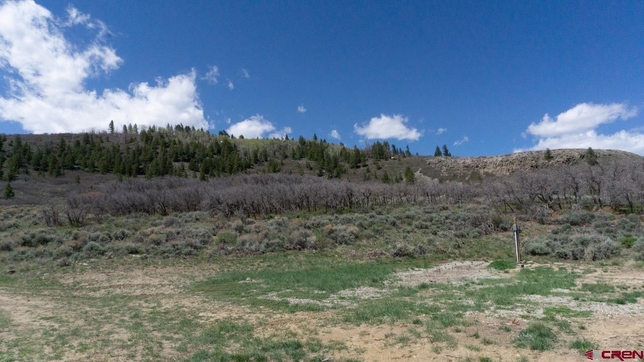 14111 County Road 26 Gunnison, CO 81230 - Photo 31 of 35 a view of a yard with a tree