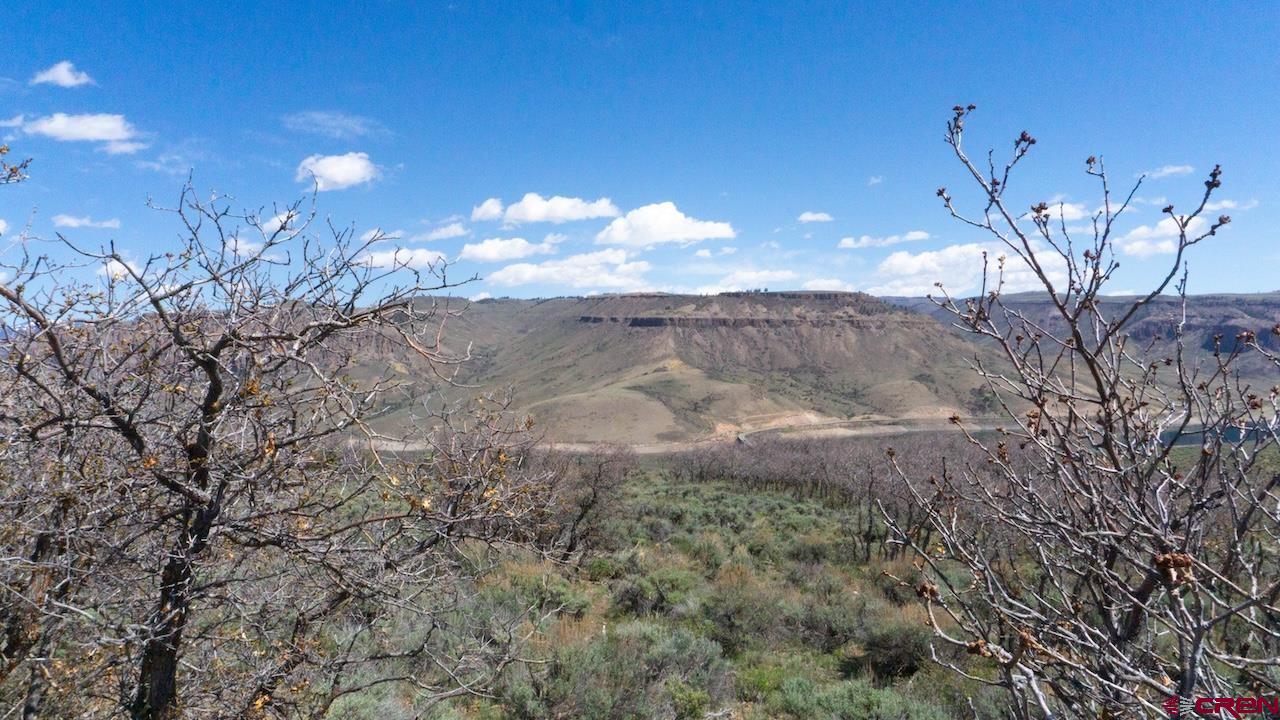 14111 County Road 26 Gunnison, CO 81230 - Photo 34 of 35 a view of a backyard of a house with table and chairs