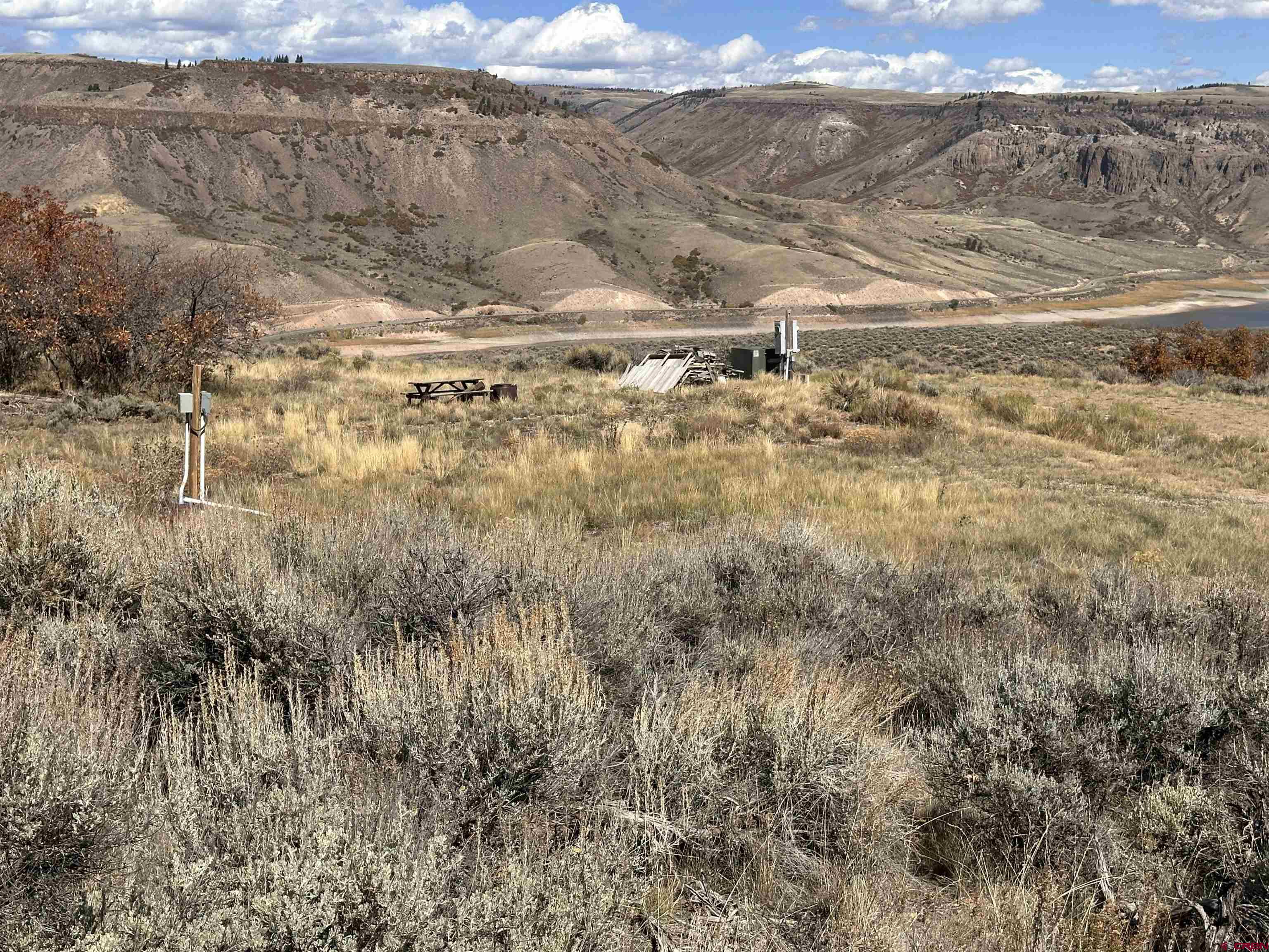 14111 County Road 26 Gunnison, CO 81230 - Photo 6 of 35 a view of a forest with mountains in the background