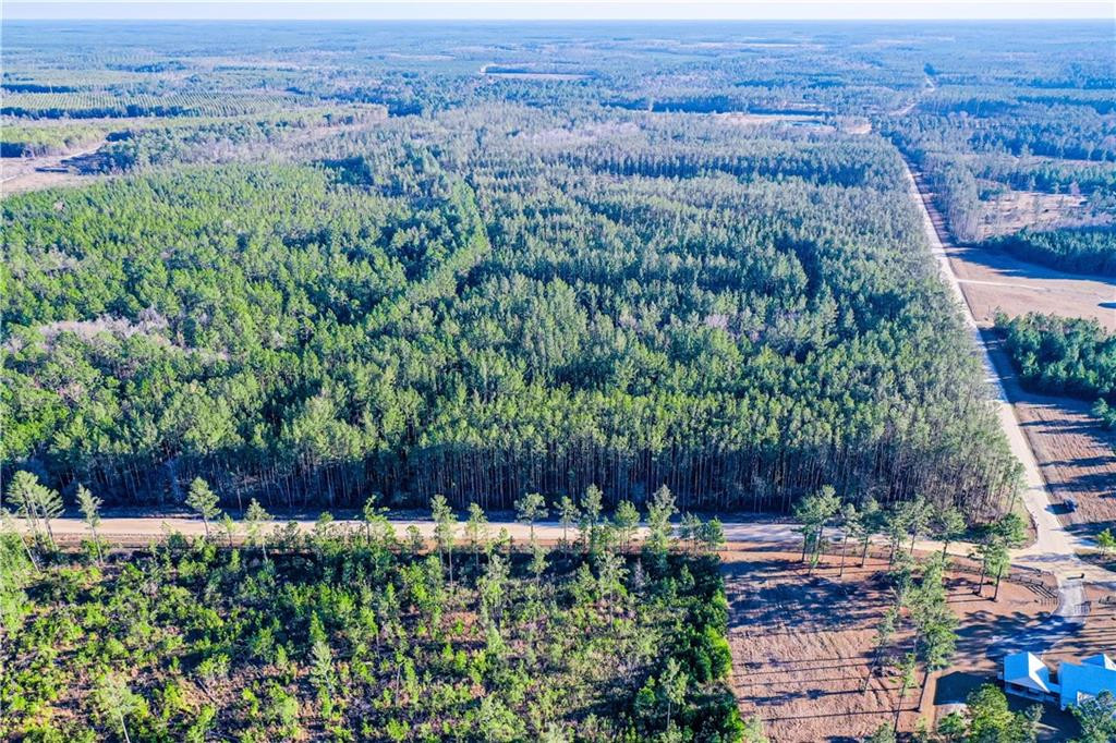 0 Farms Edge Rd Manor Manor, GA 31550 - Photo 11 of 25 Photo 11