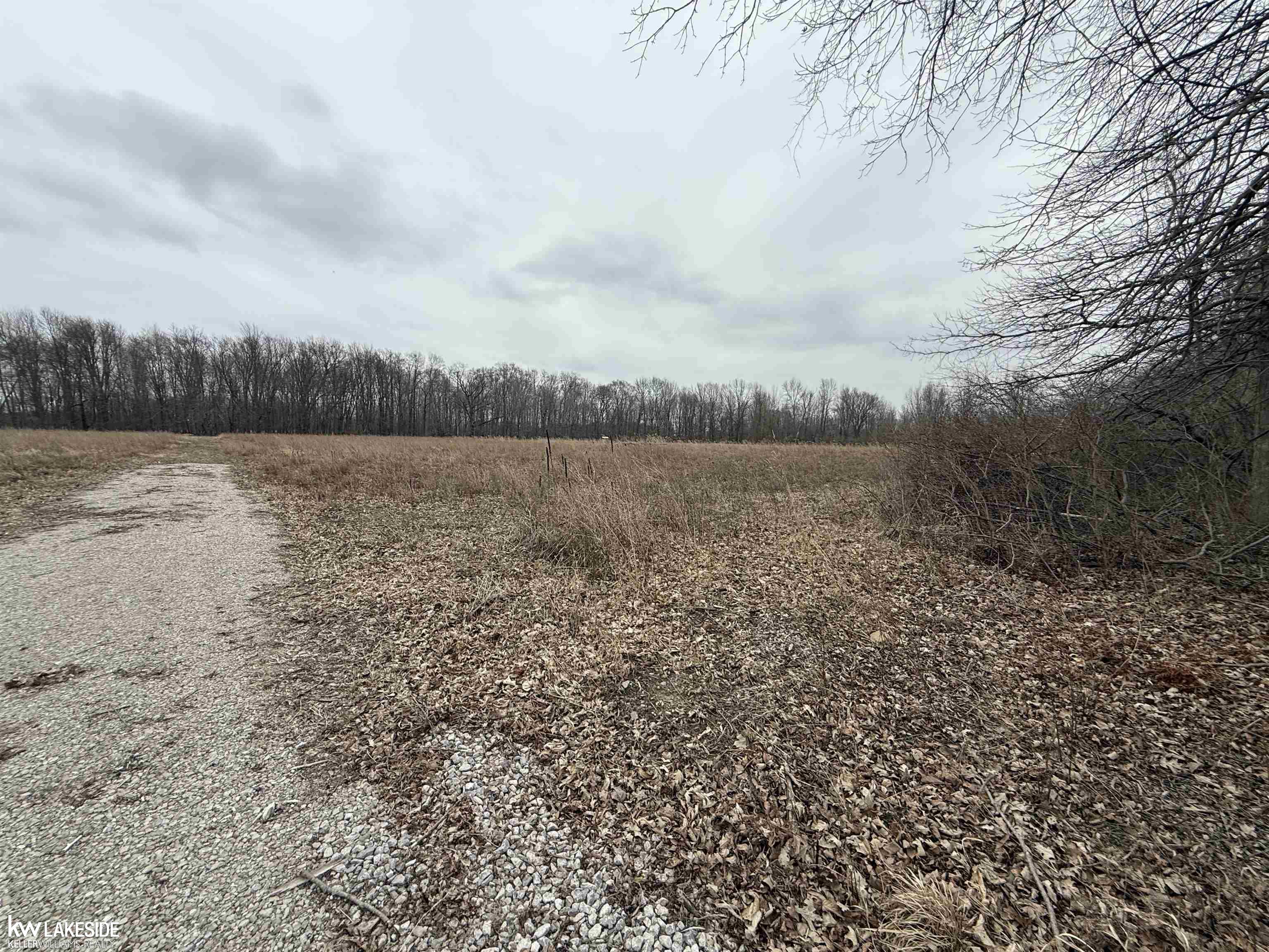 0 Cove Road Goodells, MI 48027 - Photo 4 of 25
