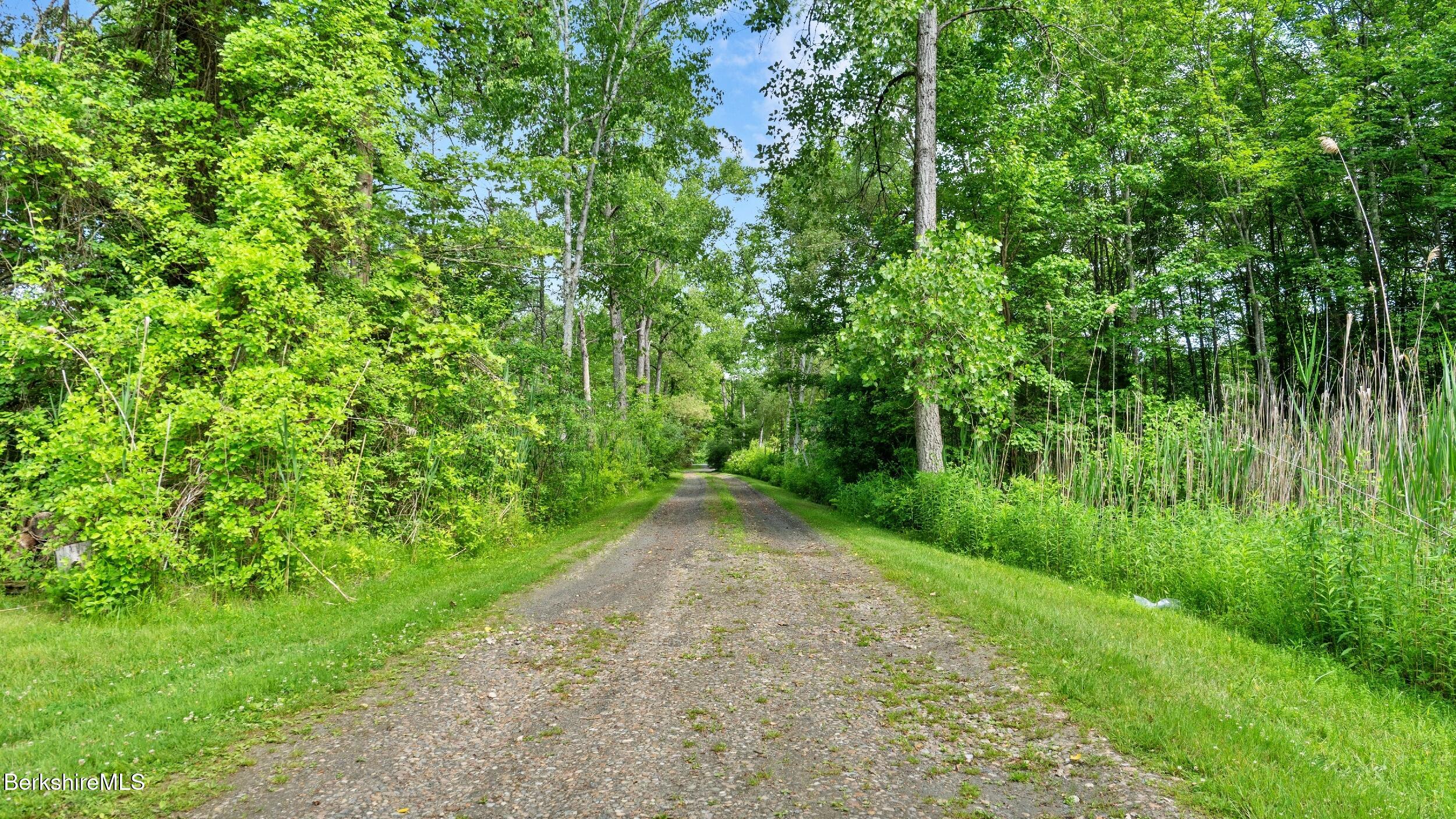 418 Monterey Road Great Barrington, MA 01230 - Photo 27 of 28 a view of a green yard